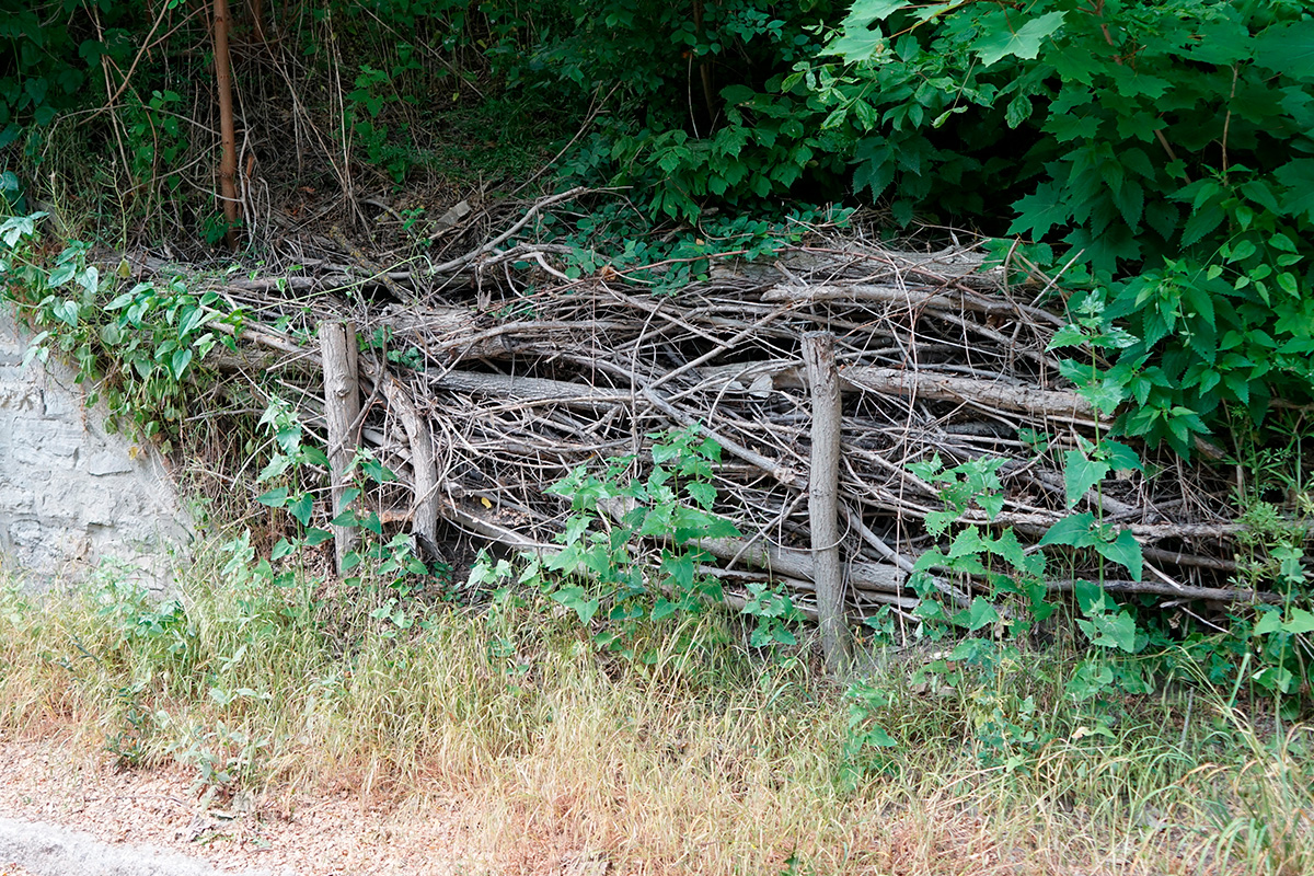 Risstaket byggt som en förlängning av en stenmur