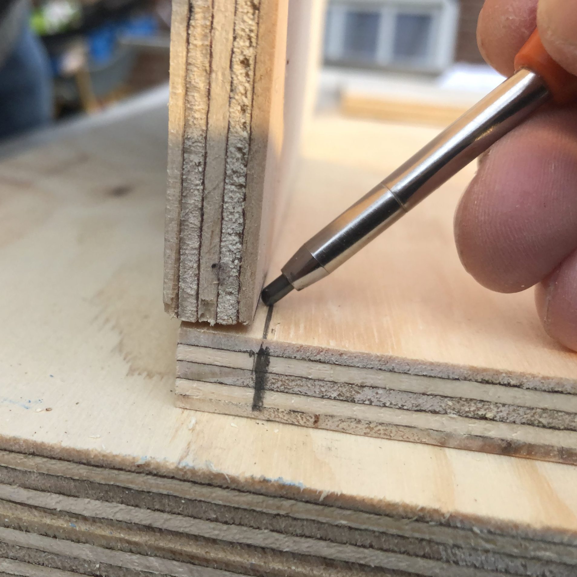 Bygg ditt eget pinnsvinhus. Bruk et stykke kryssfiner for å holde bredden nøyaktig.