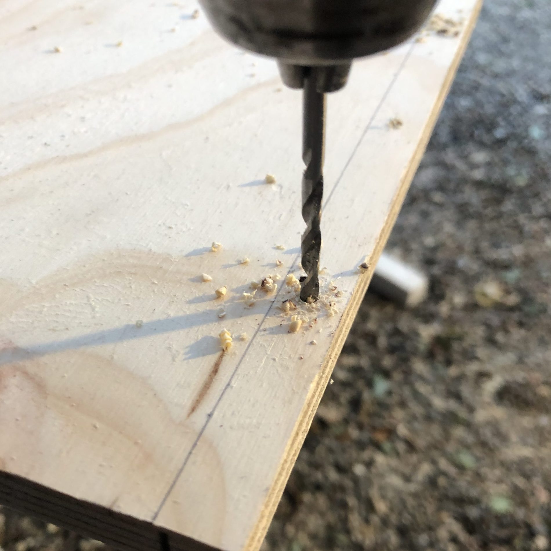 Bygg et pinnsvinhus. Forbor.