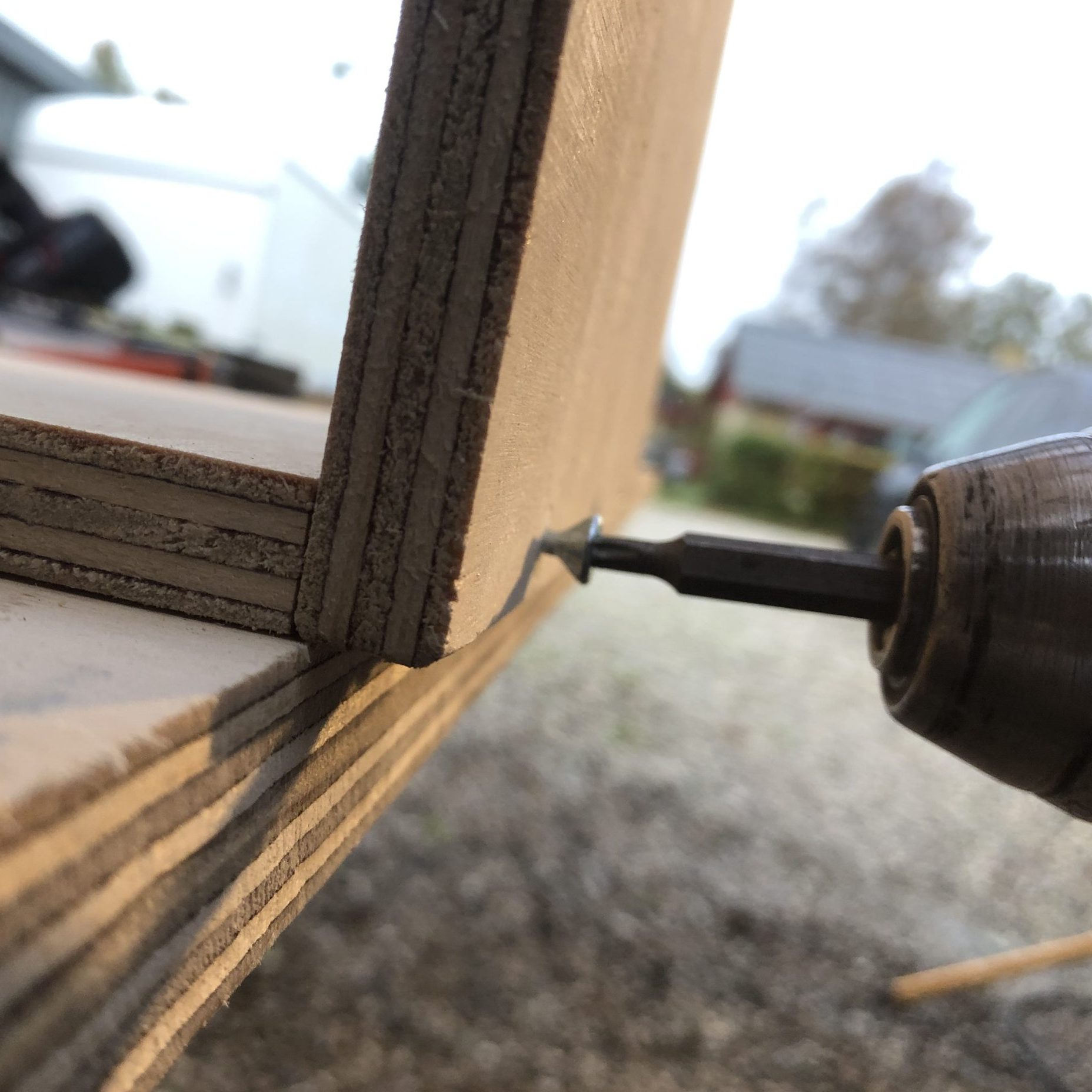 Byg et pindesvinehus: Skru forsigtigt krydsfinerpladerne sammen.