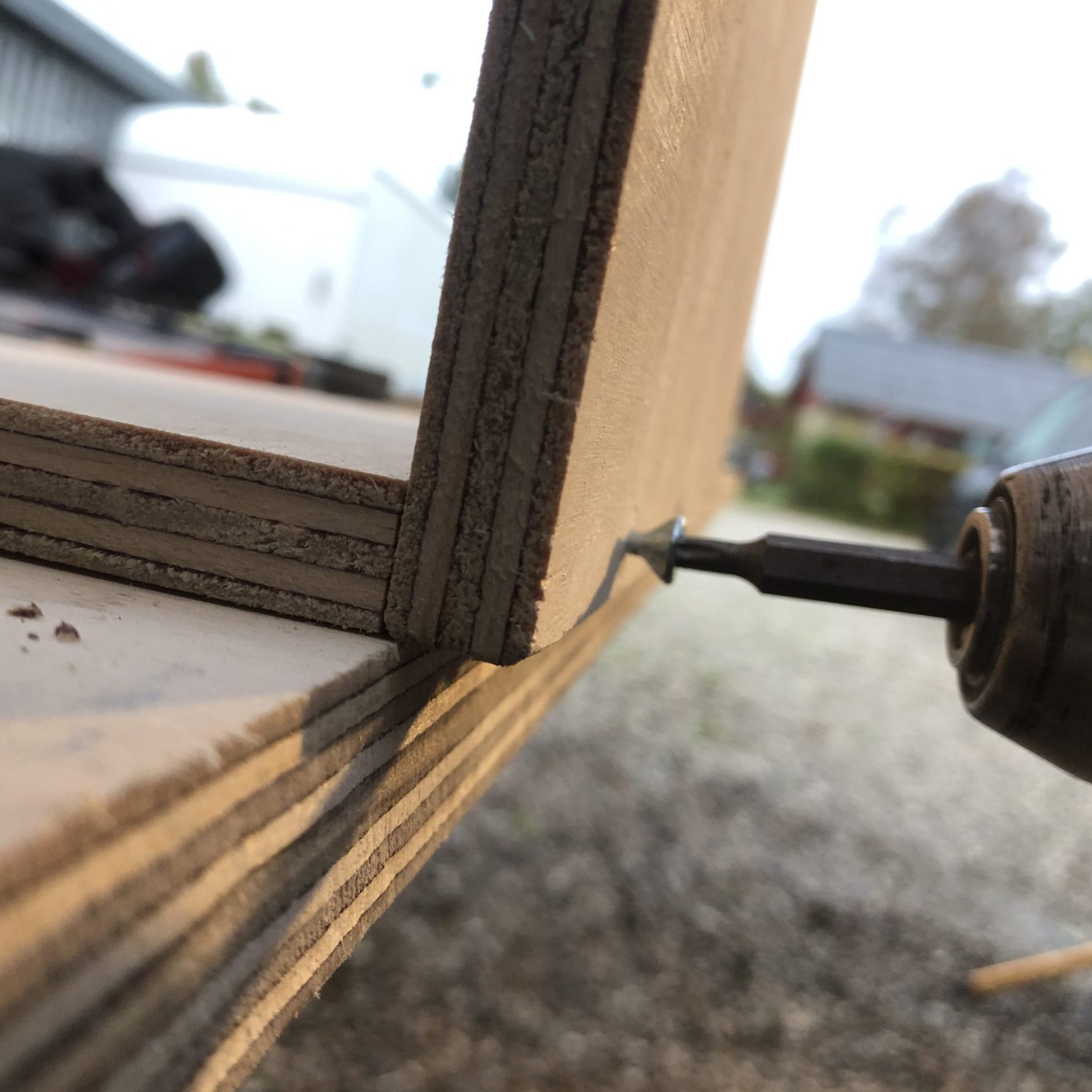 Bygg et pinnsvinhus: Skru kryssfinerplatene forsiktig sammen.