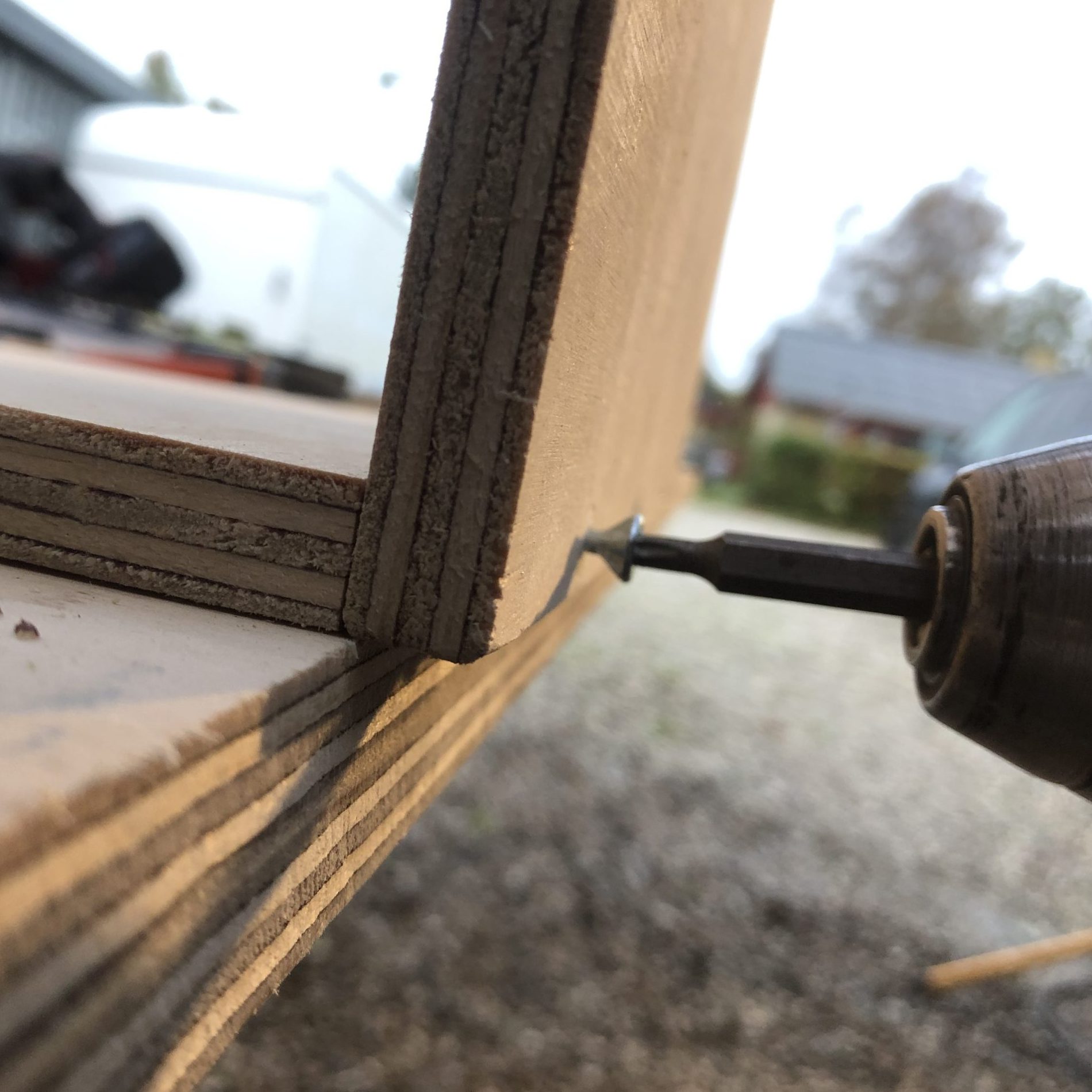 Rakenna siilinpesä: Ruuvaa vanerilevyt varovasti yhteen.