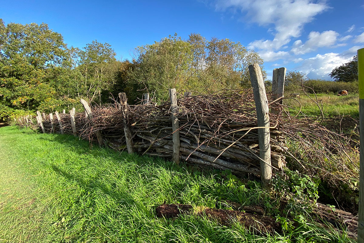 Färdigt risstaket med stora trästolpar