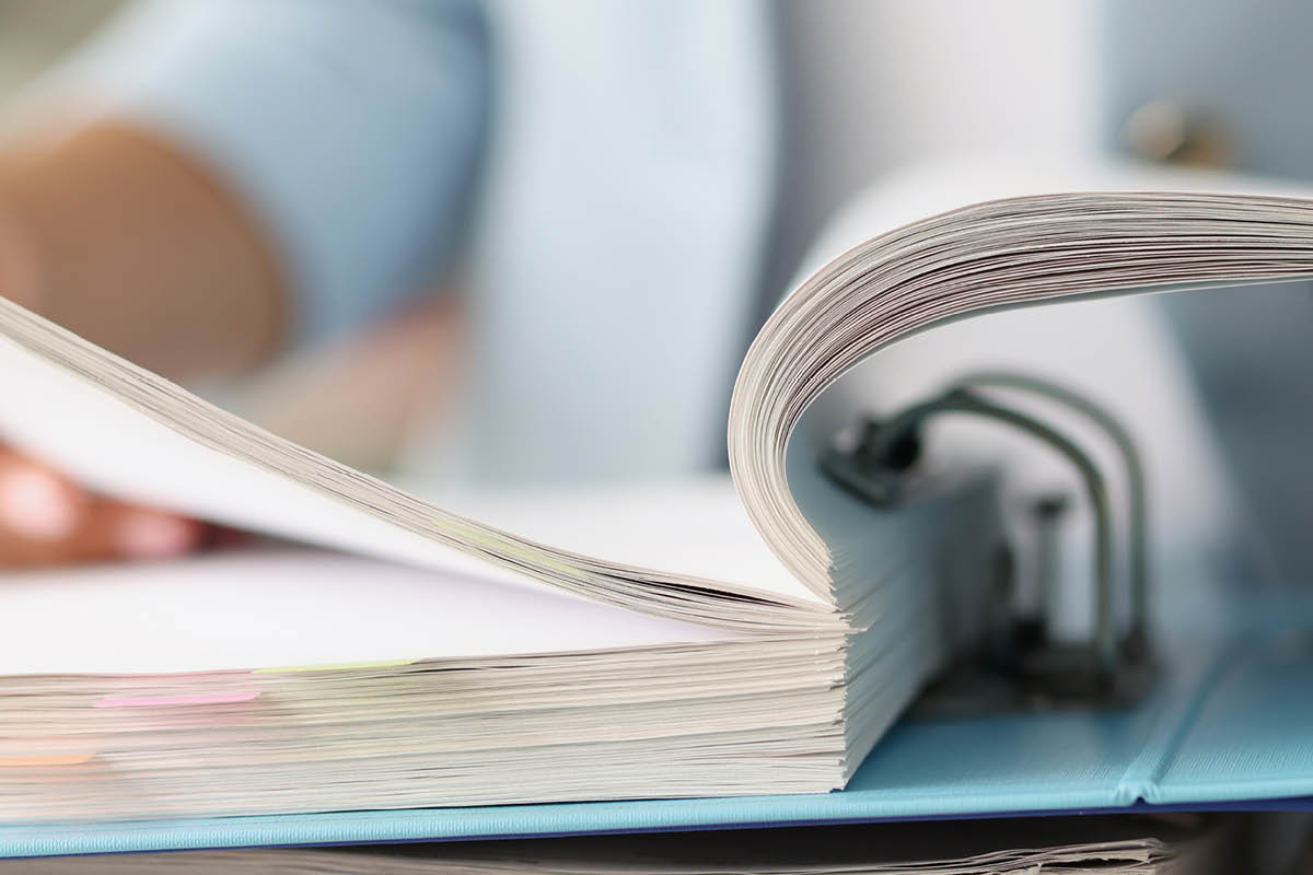 Viherkatto: Säännöt