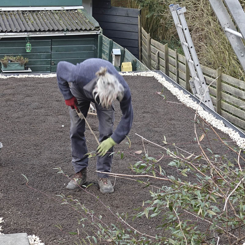 Viherkatto: Levitä multa suojakalvon päälle