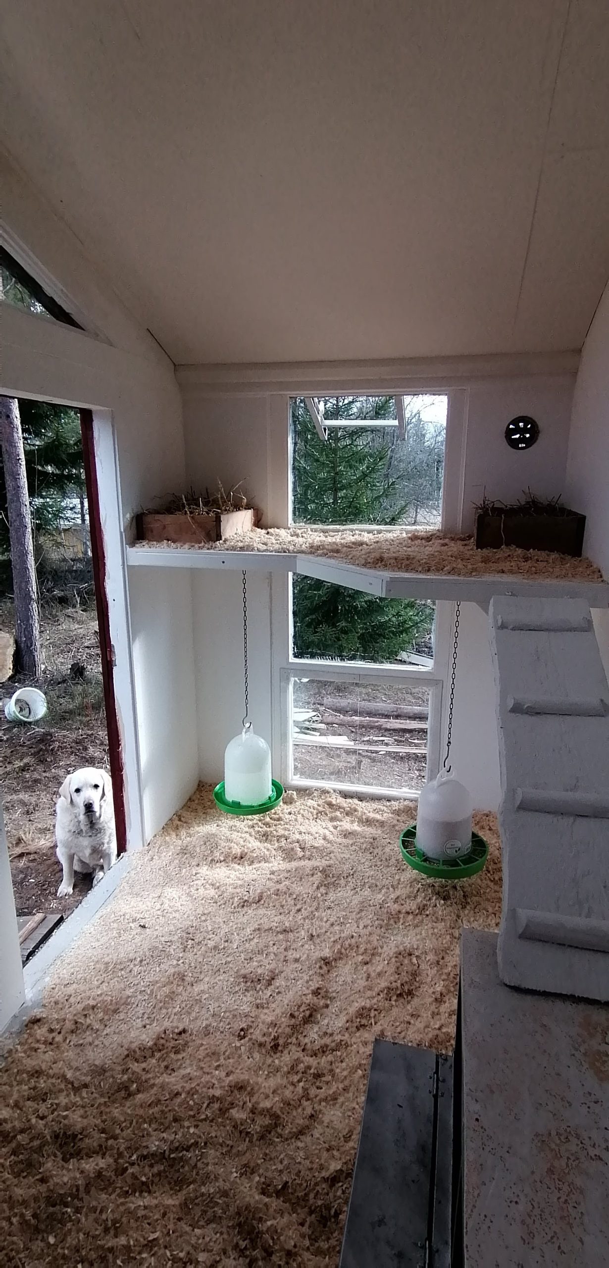 Hönshus på husgavel