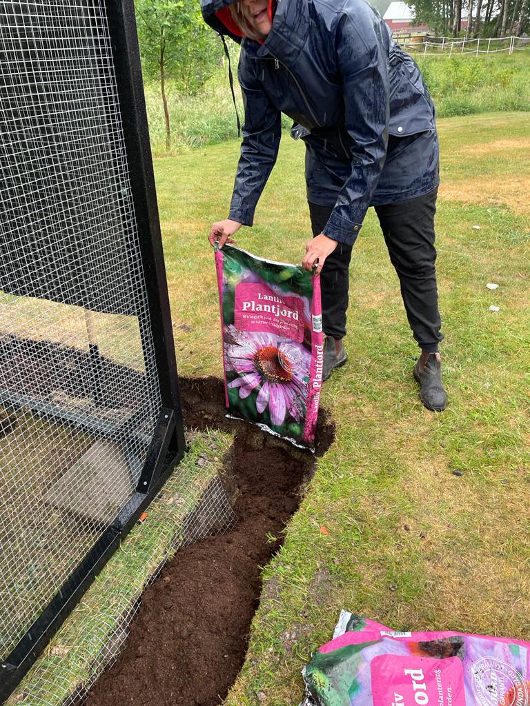 Hönsgård byggd av moduler