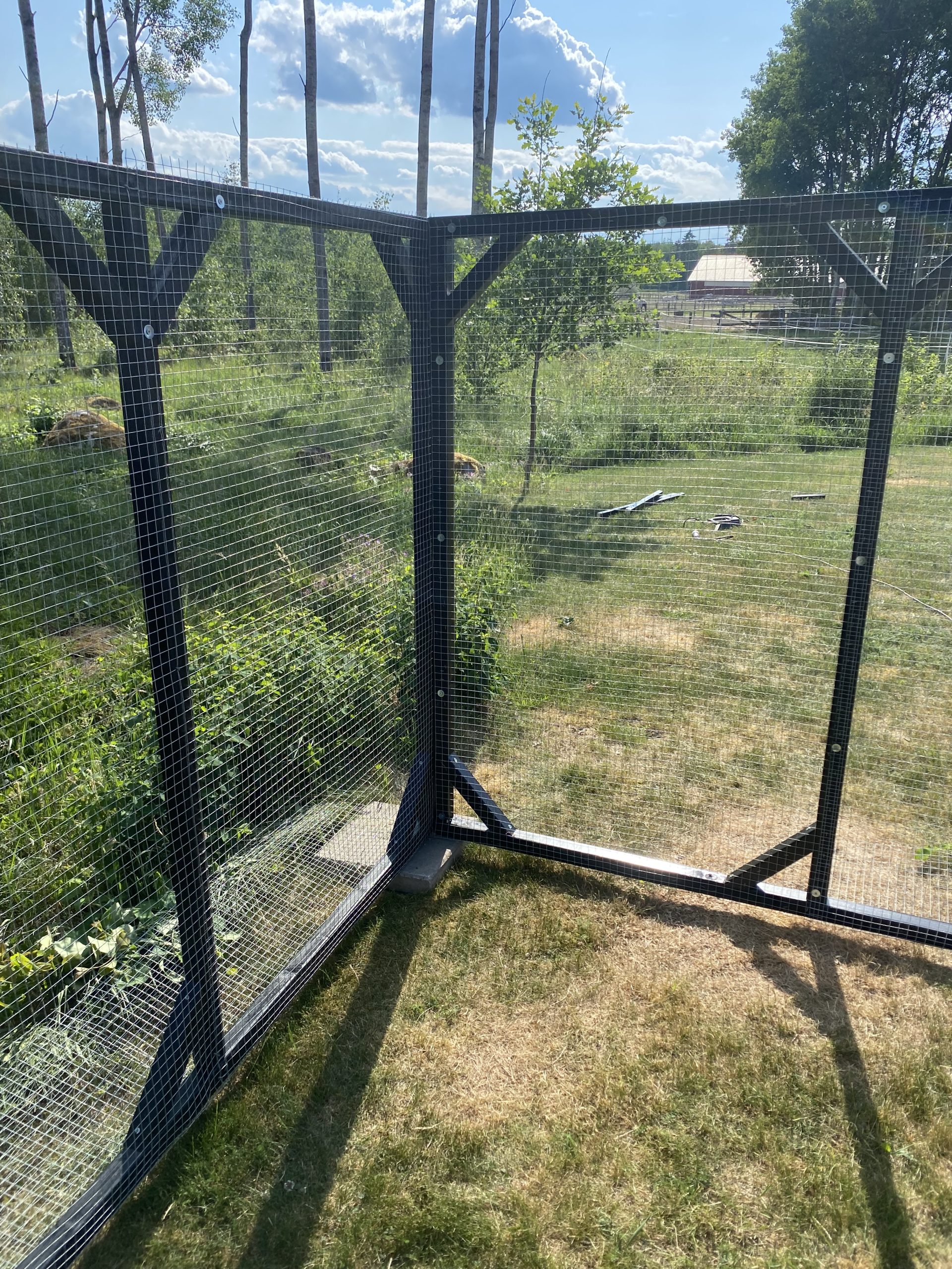 Hönsgård byggd av moduler