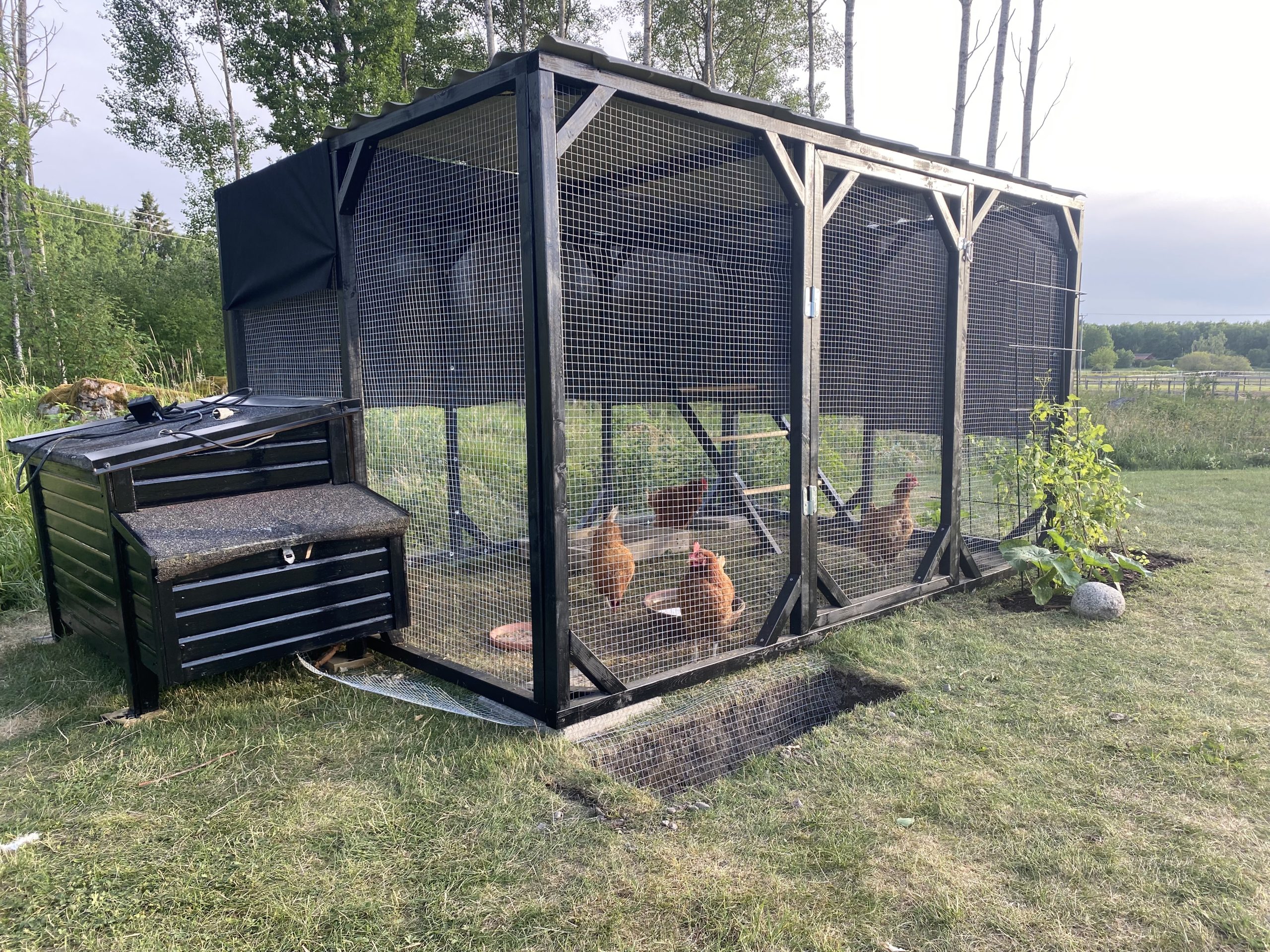 Hönsgård byggd av moduler