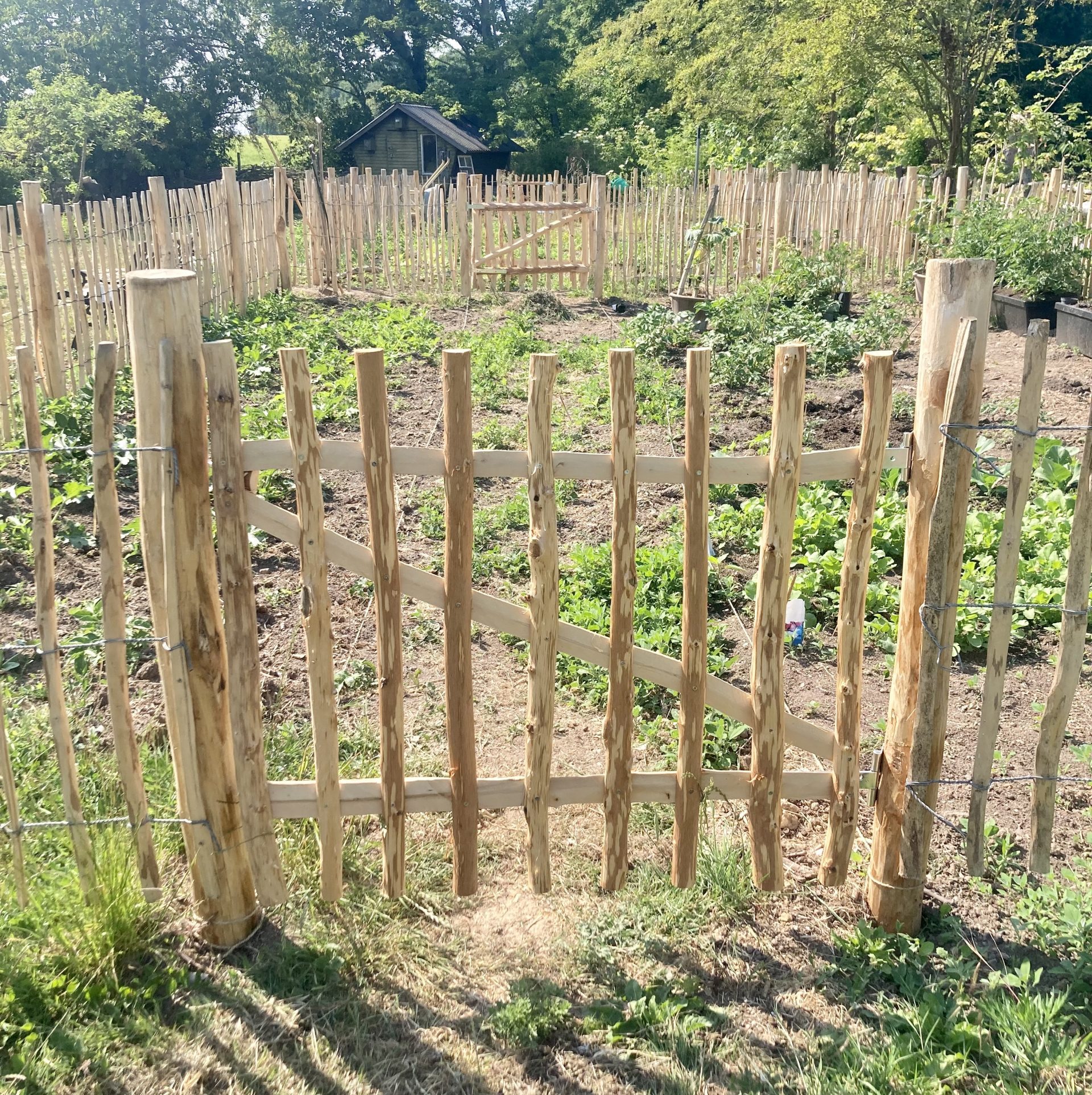 Hageport for hasselgjerde