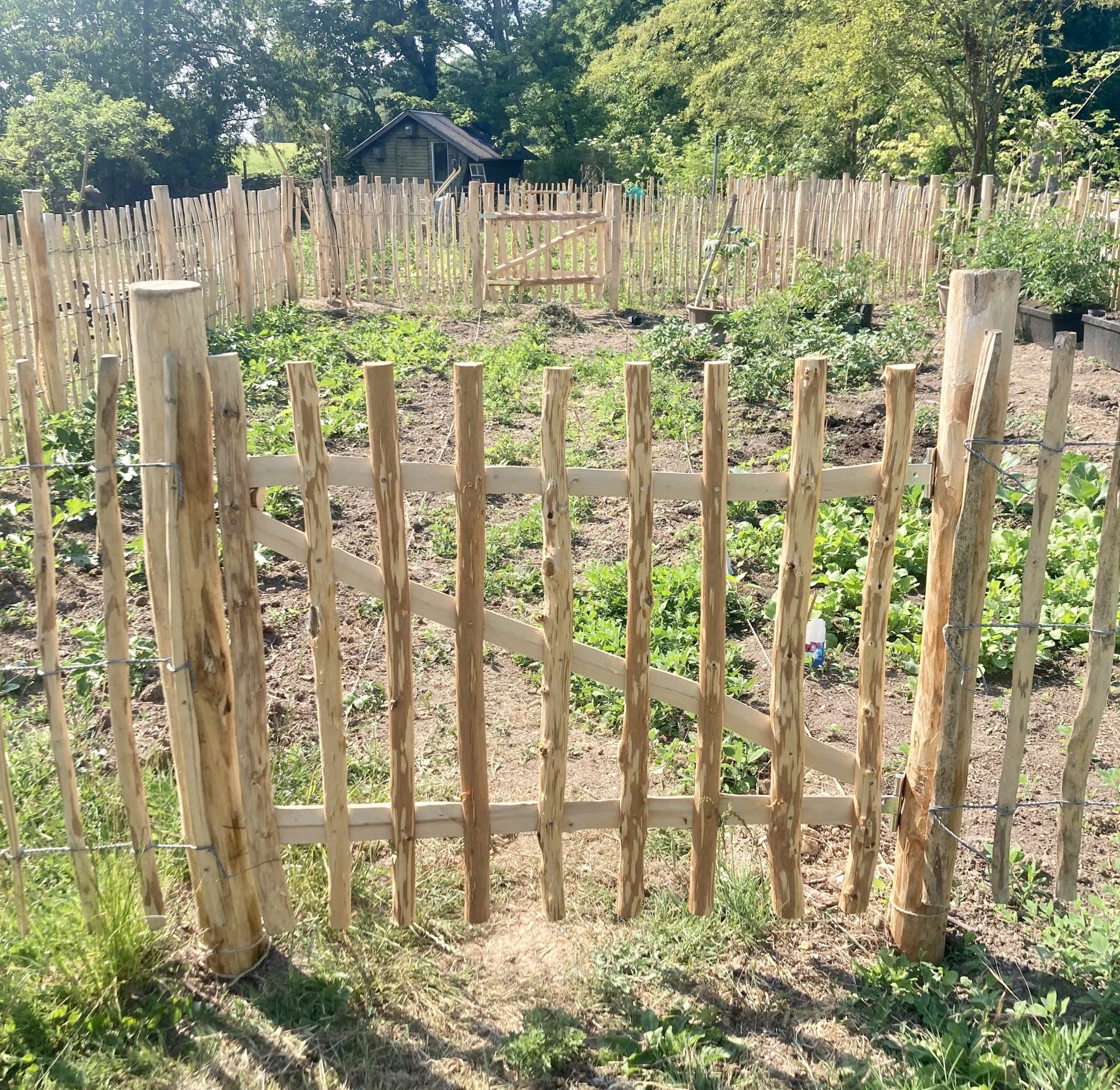 Trädgårdsgrind till hasselstaket