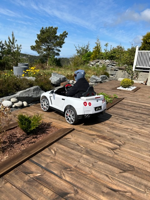 Uteområde med läskydd