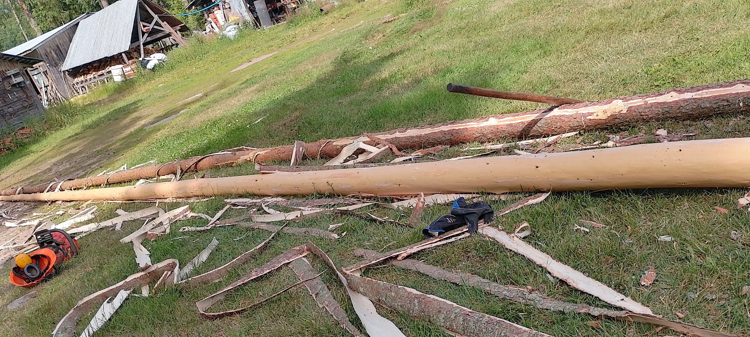 Halkokatos palkeista