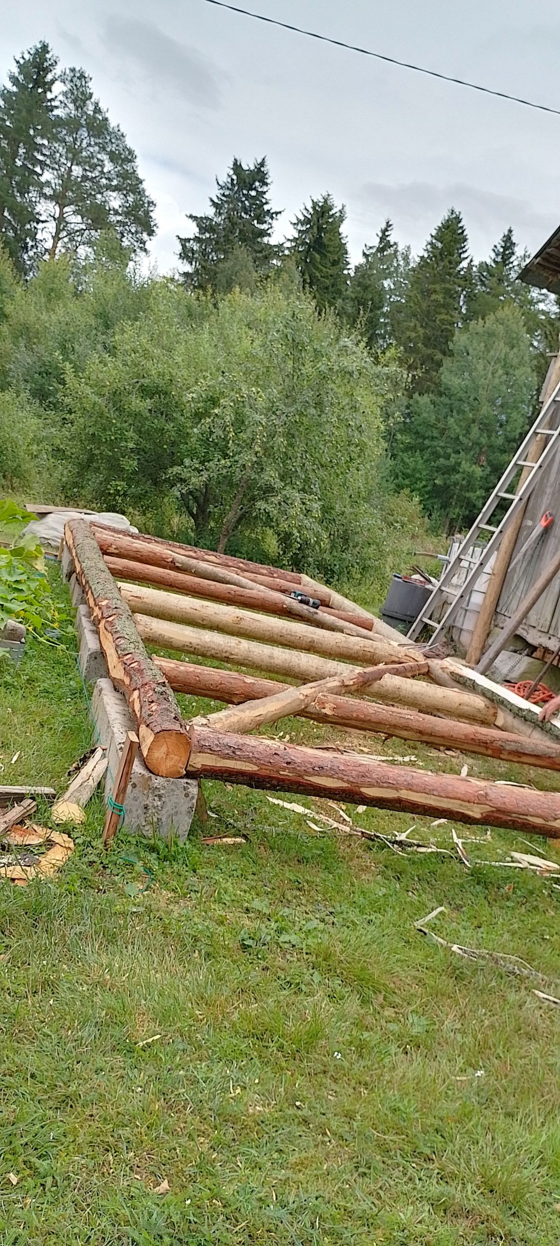 Halkokatos palkeista