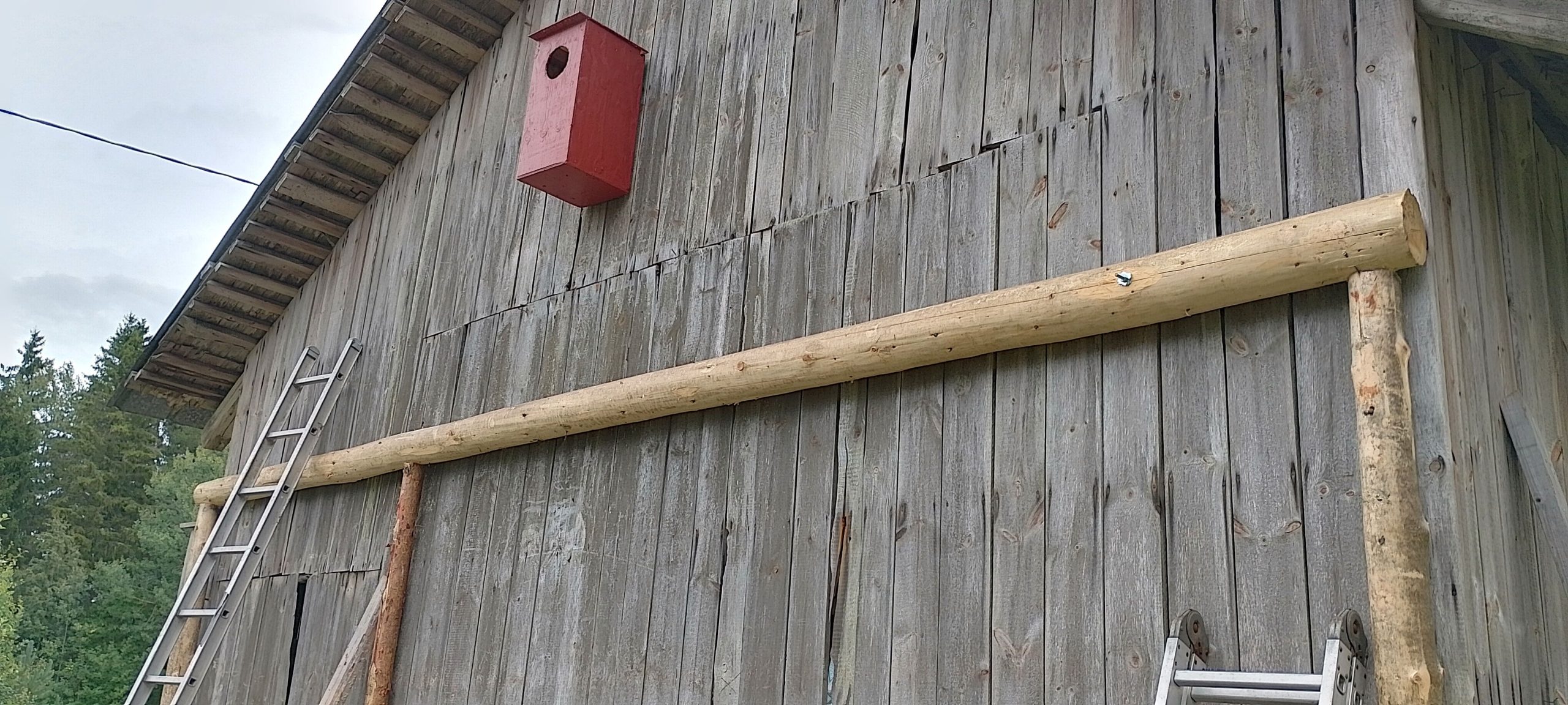 Halkokatos palkeista