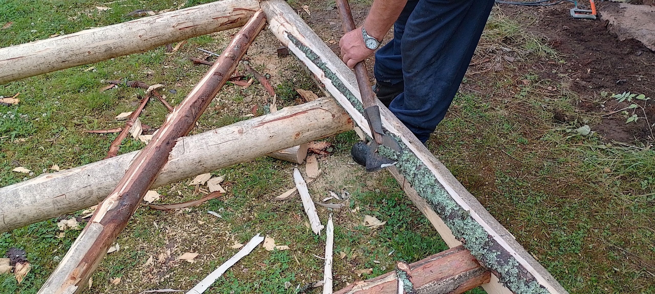 Halkokatos palkeista