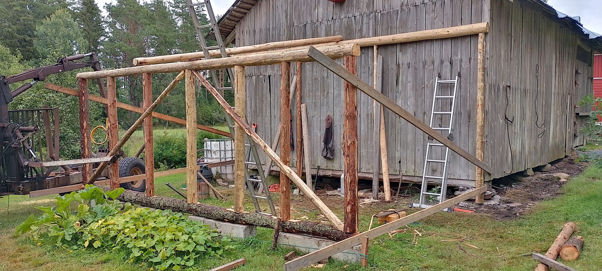 Halkokatos palkeista