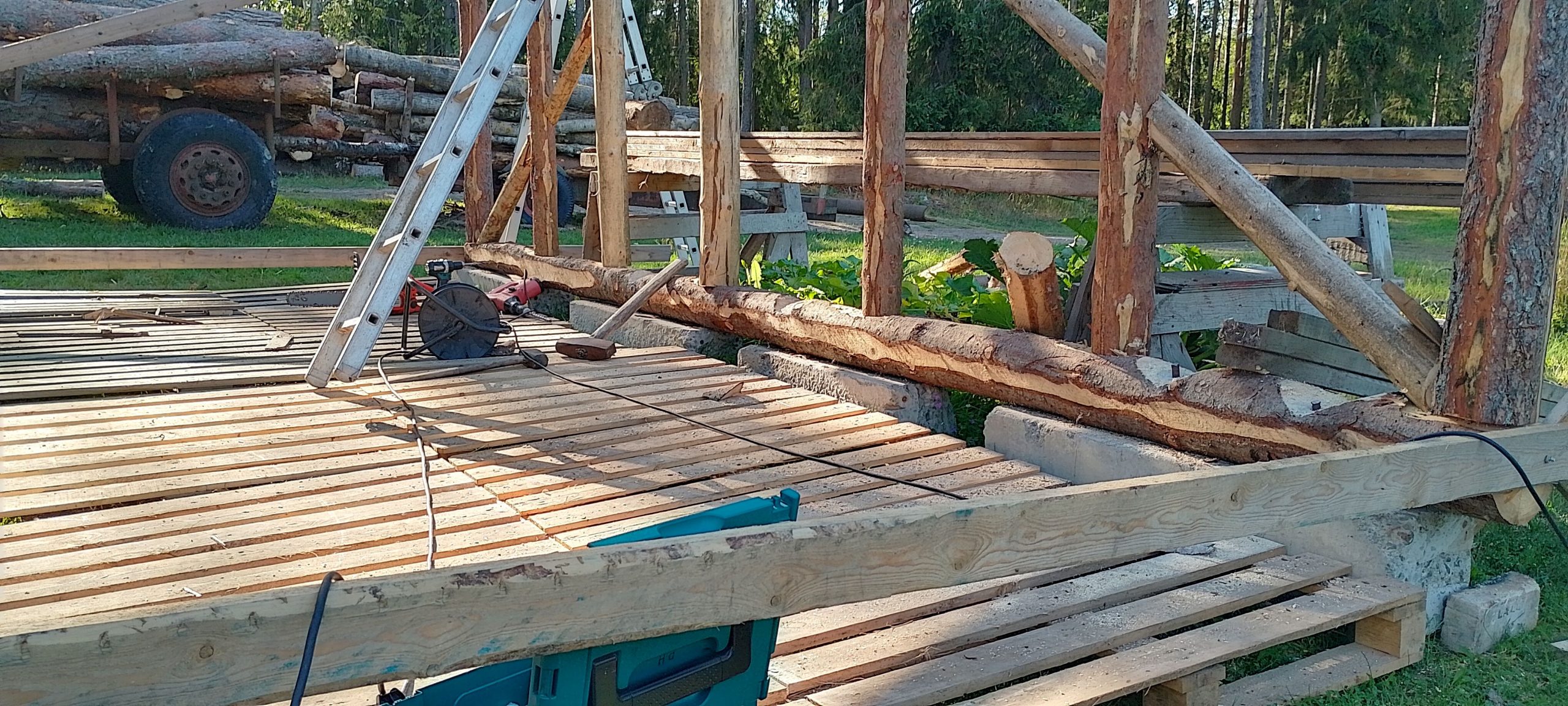 Halkokatos palkeista