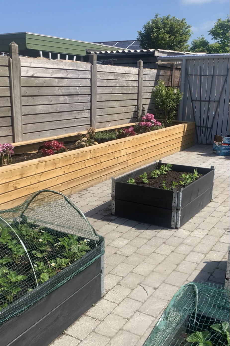 Istutuslaatikko penkillä