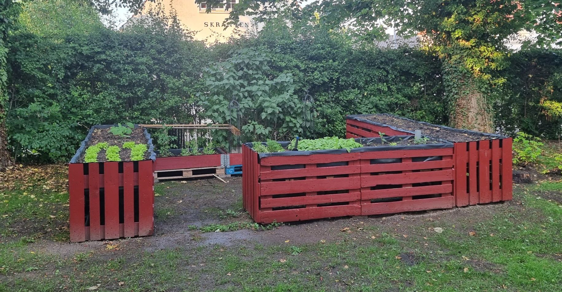 Røde plantekasser