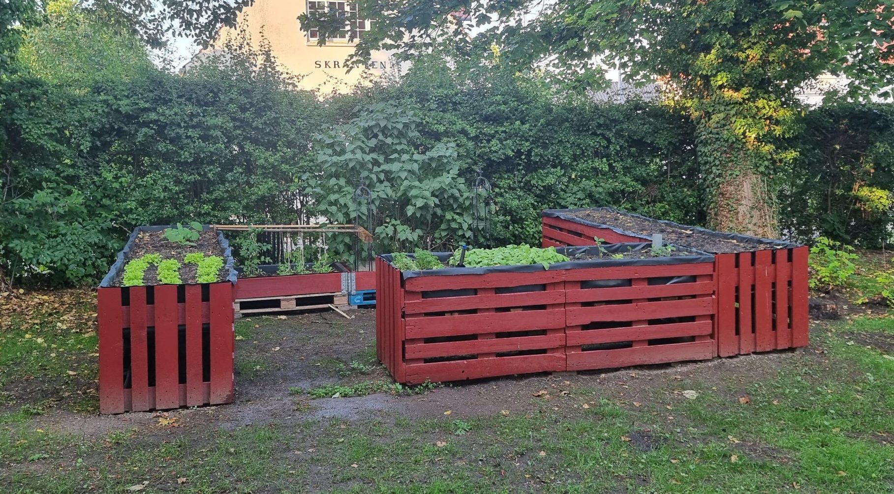 Indsendt af Esben Rude