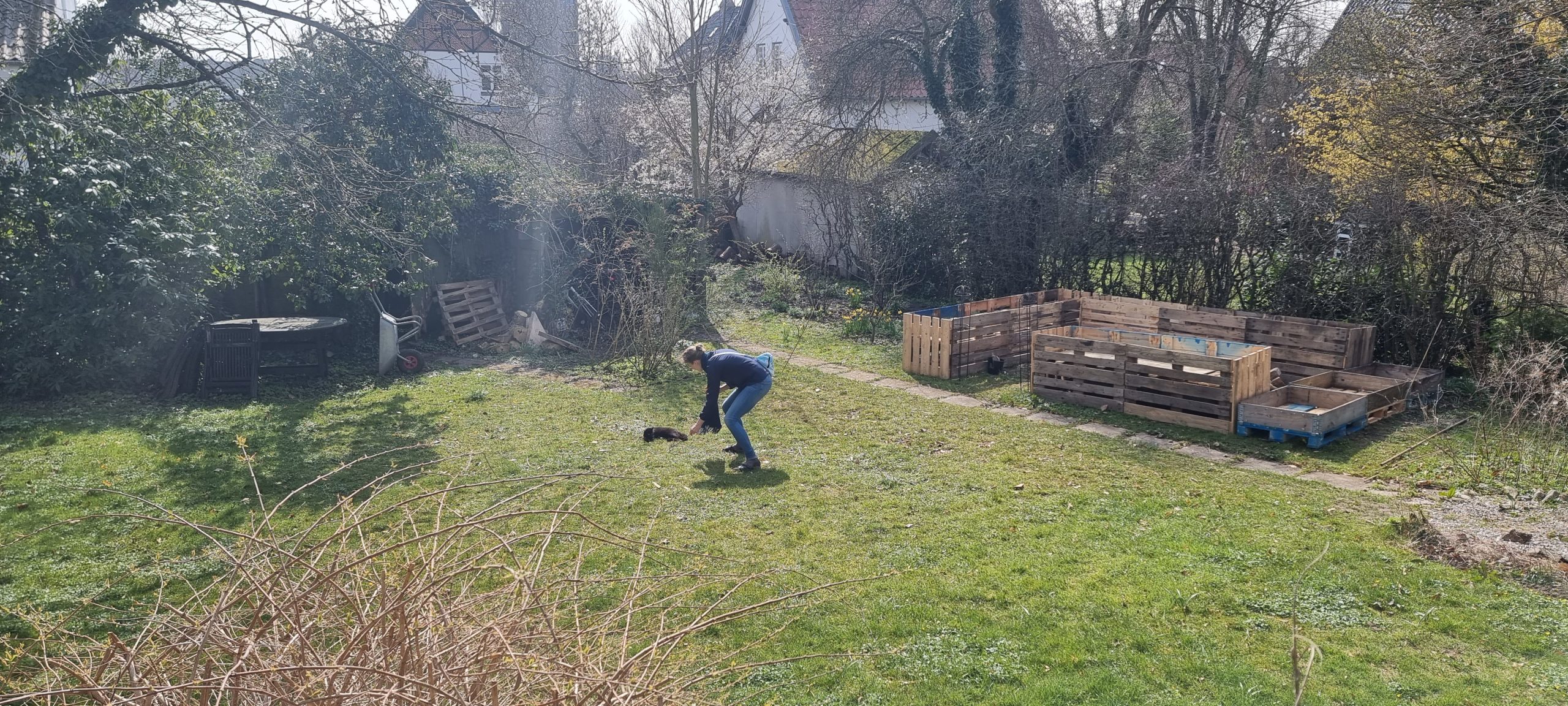 Indsendt af Esben Rude