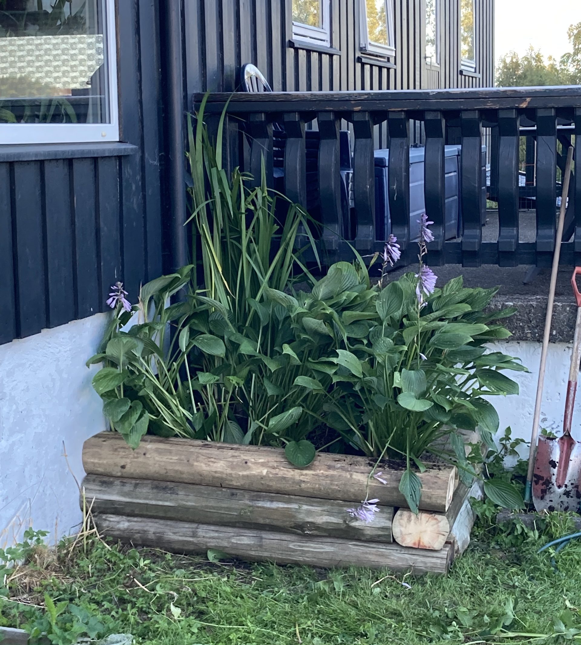 Odlingslåda av bjälkar