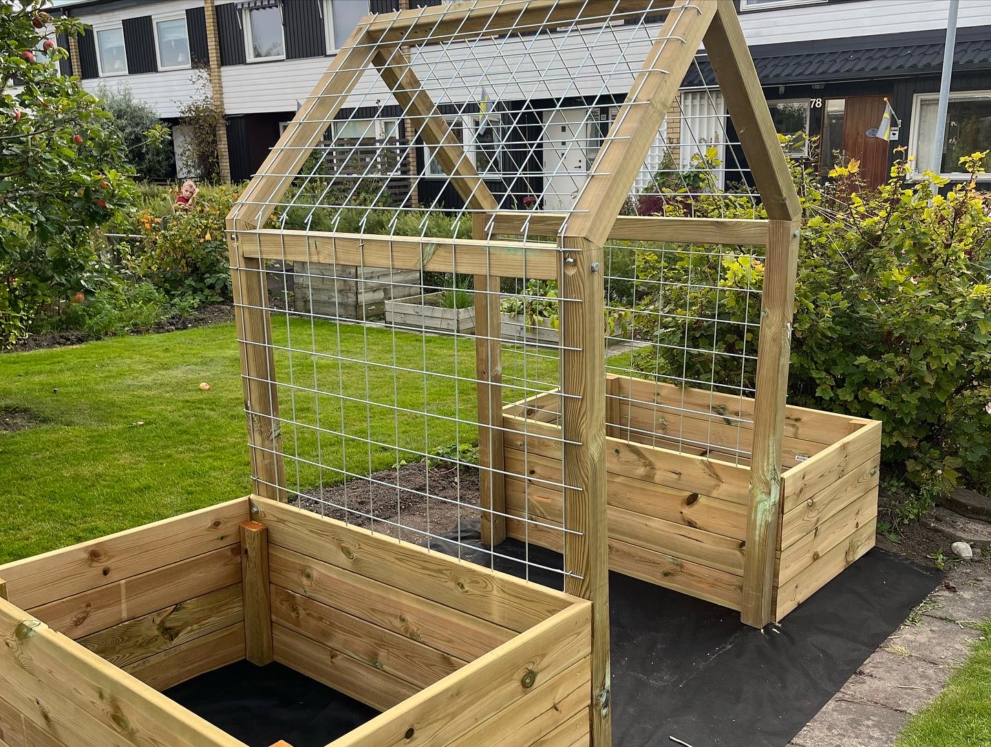 Højbede med espalier