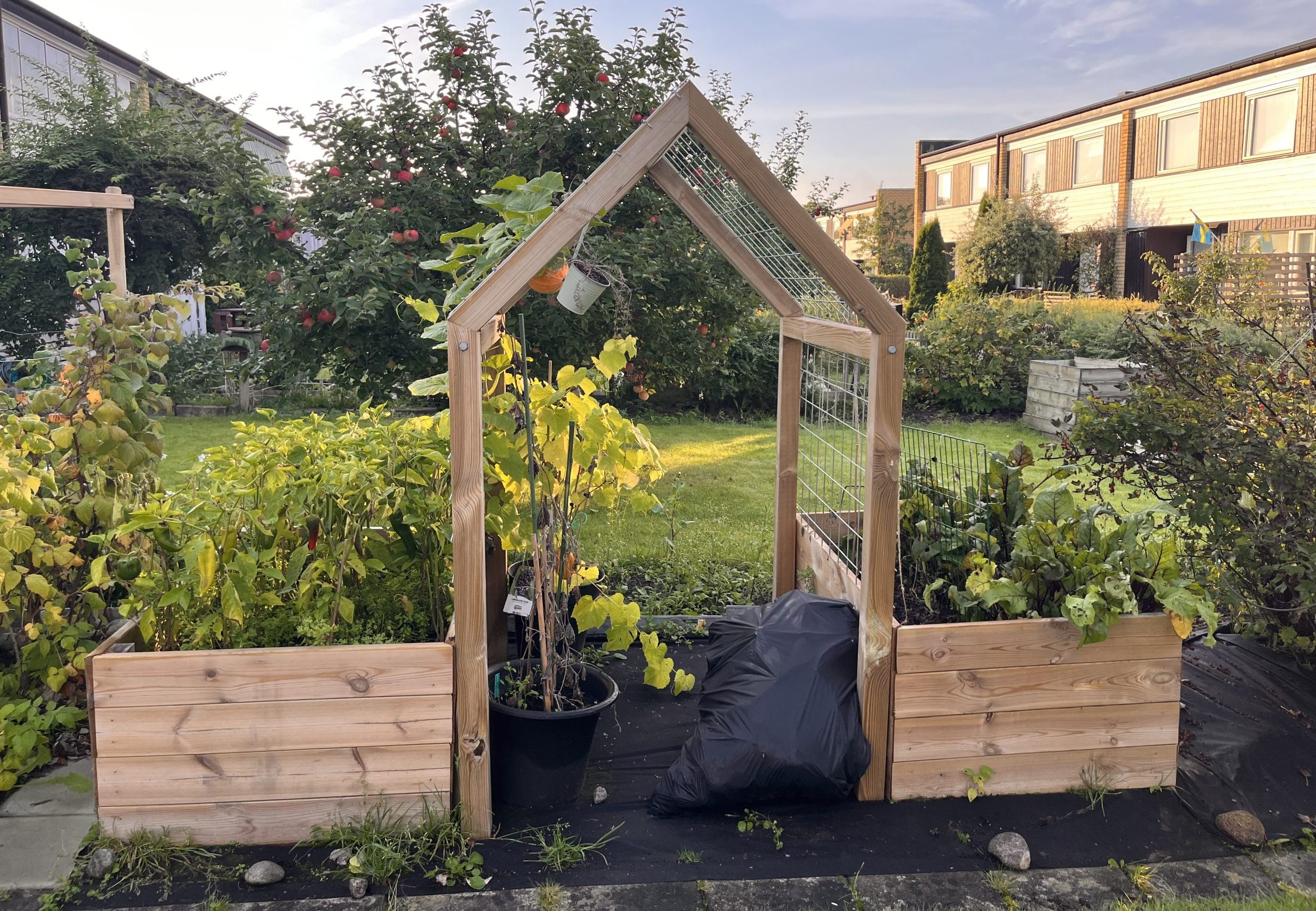 Højbede med espalier