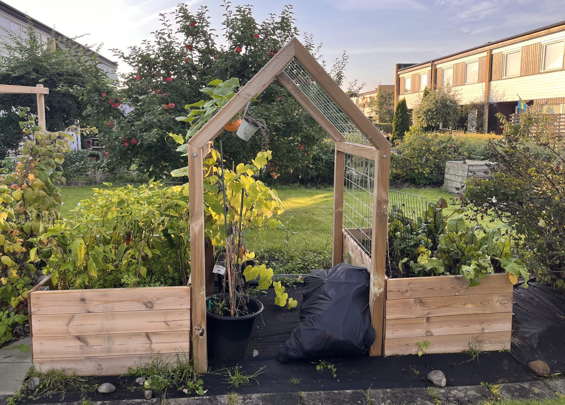 Høybed med espalier