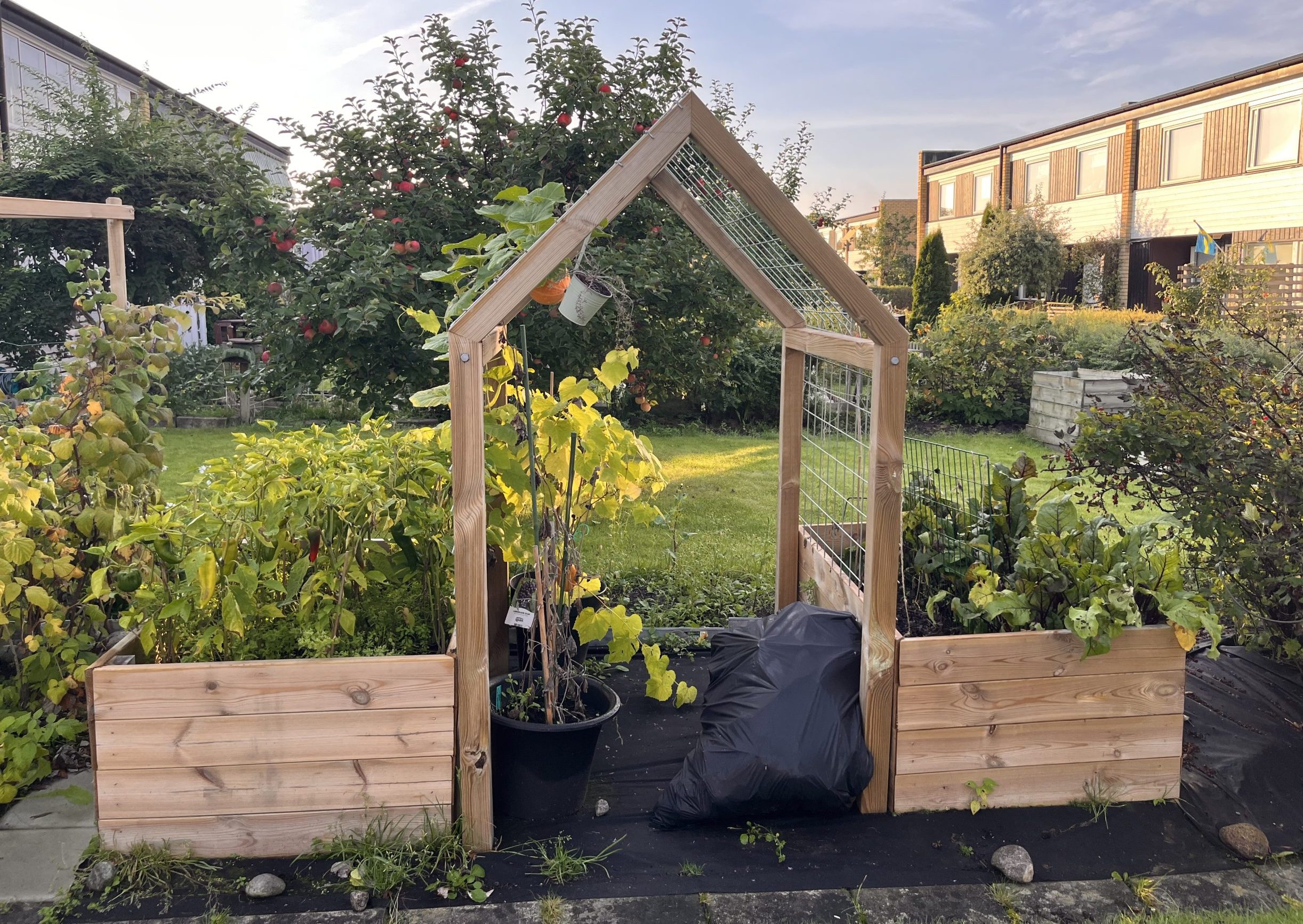 Odlingslådor med spaljé