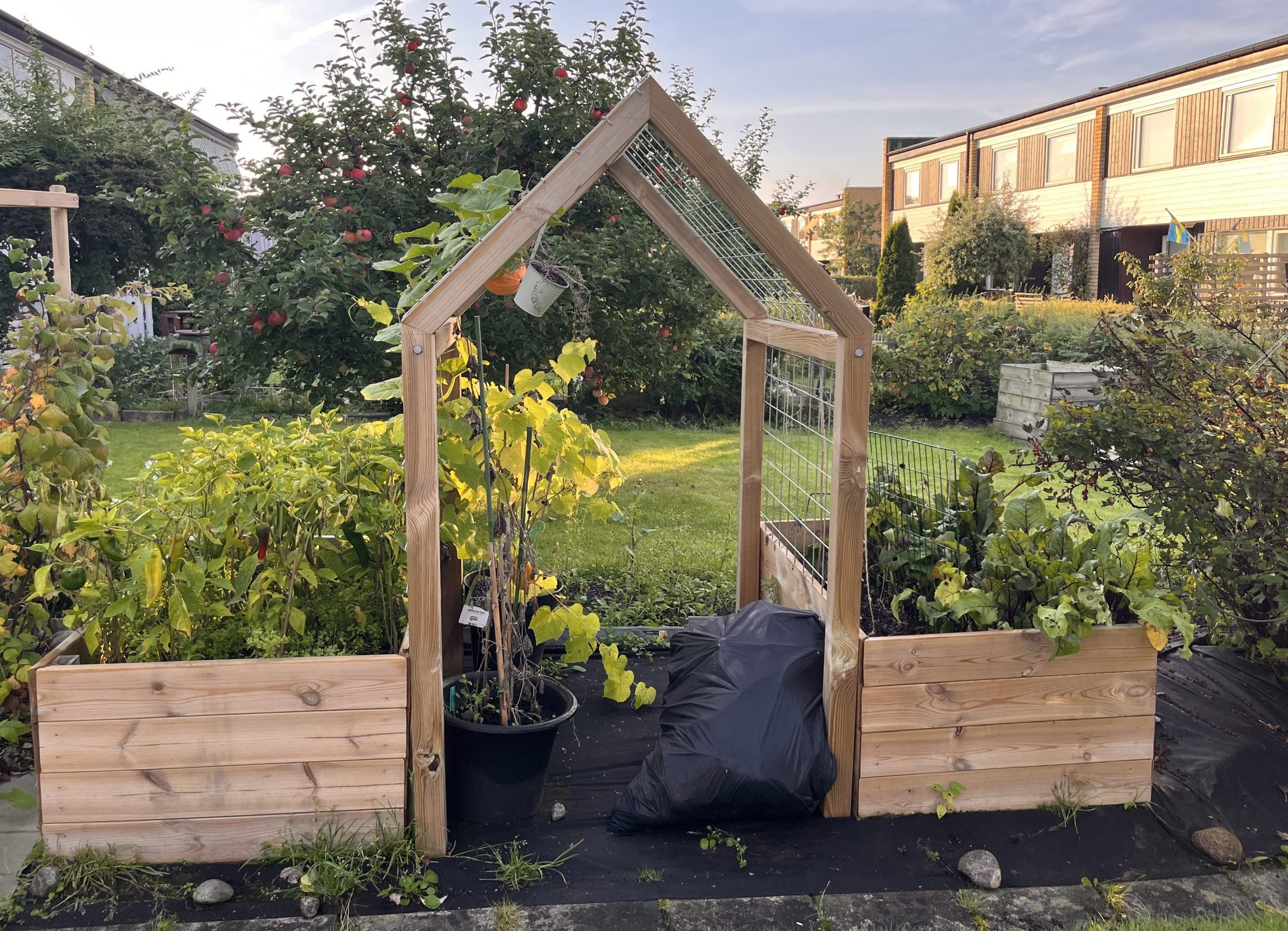 Højbede med espalier