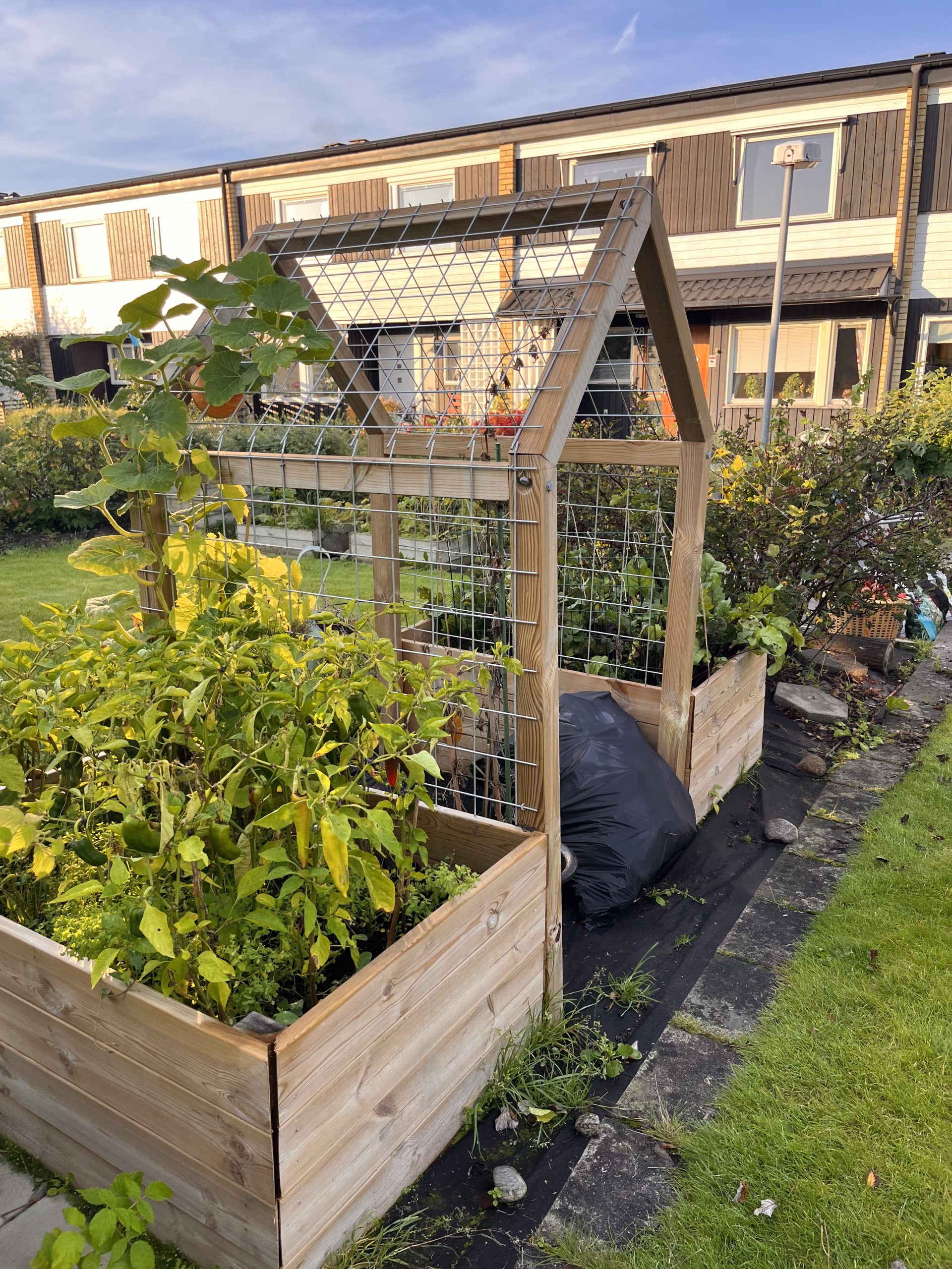 Højbede med espalier