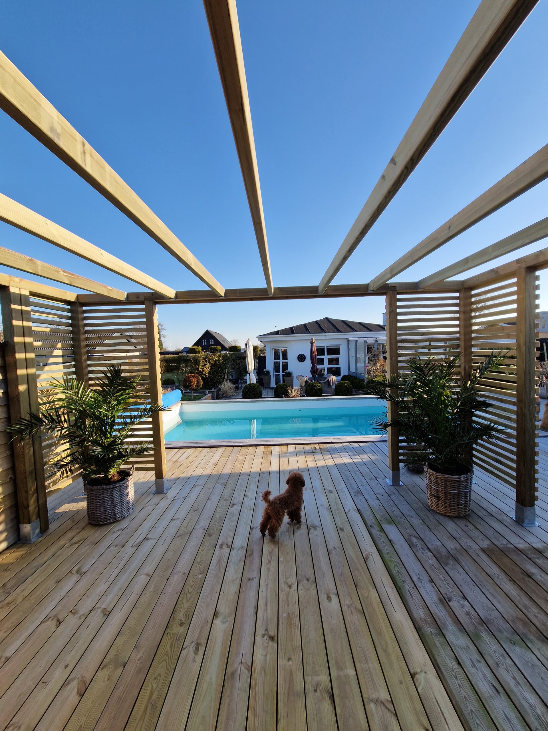 Pergolalounge ved bassenget