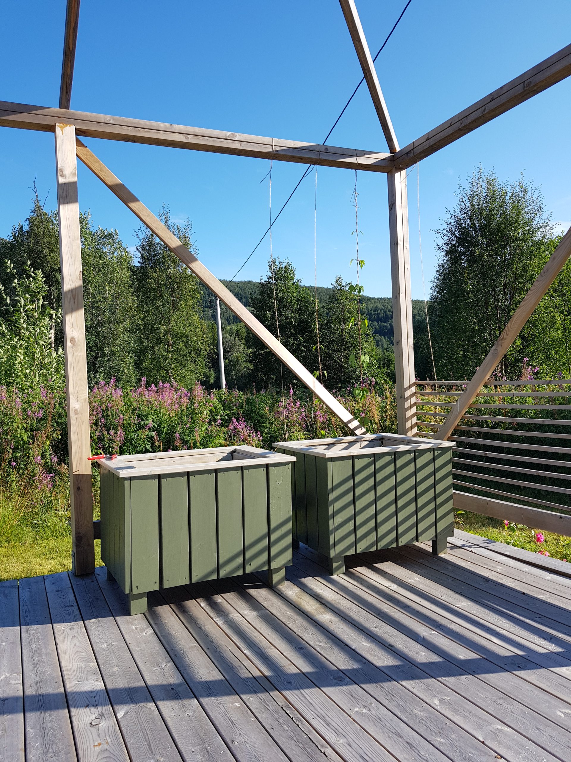 Pergola med konge