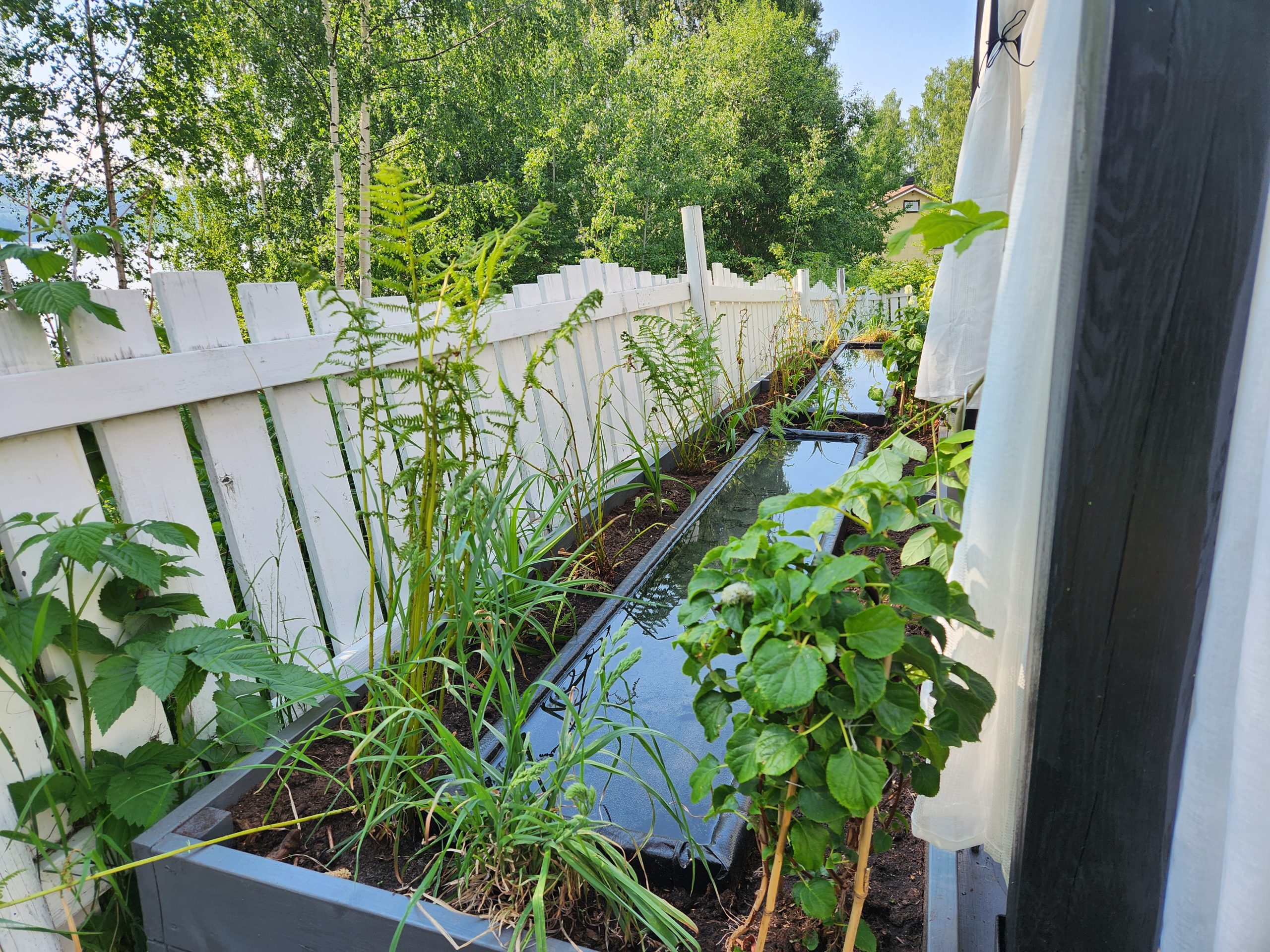 Puuterassi katoksella