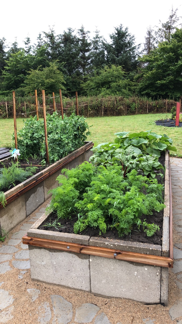 Orangeri med højbede af fliser