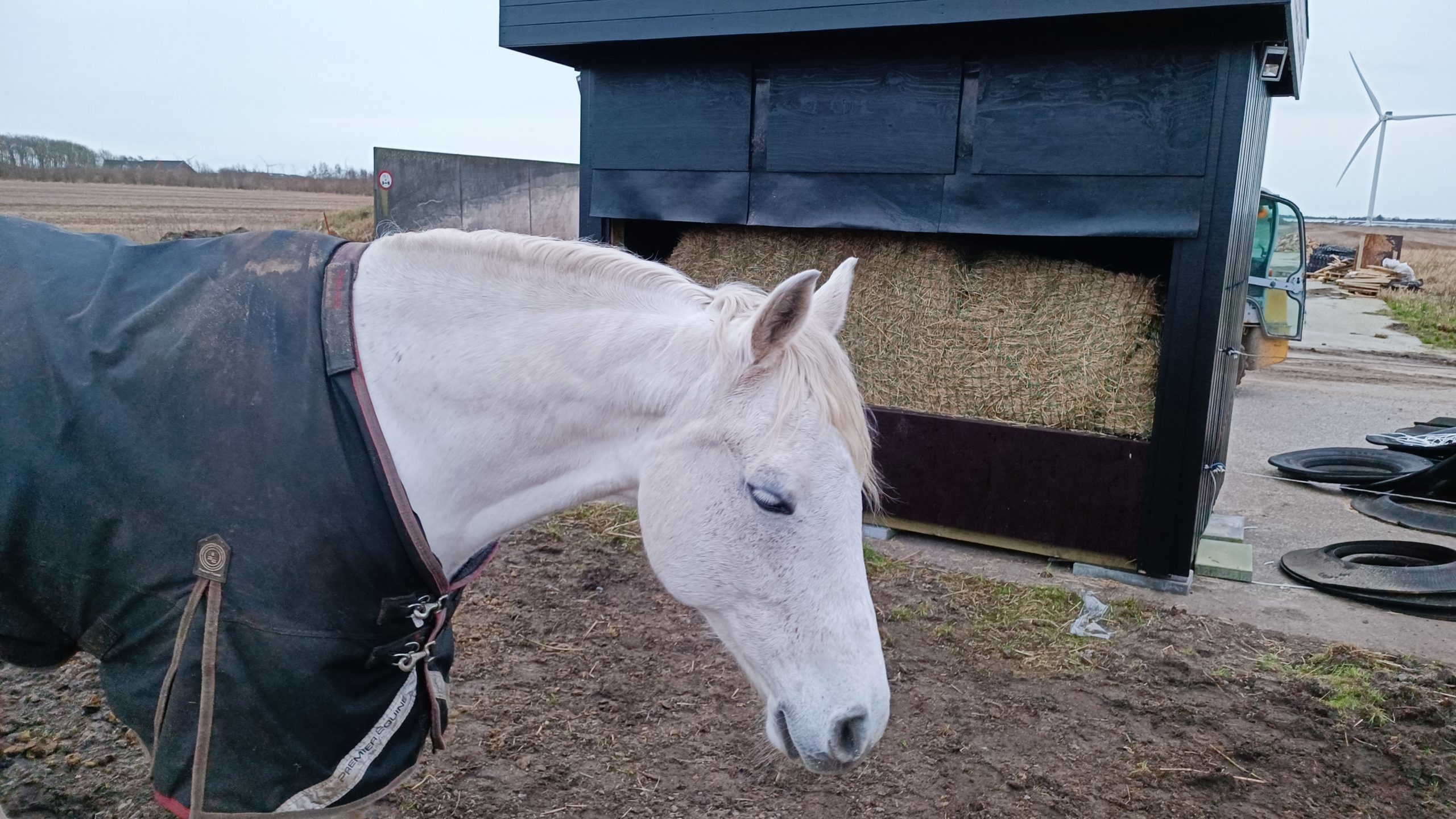 Automatisk heste foderstation