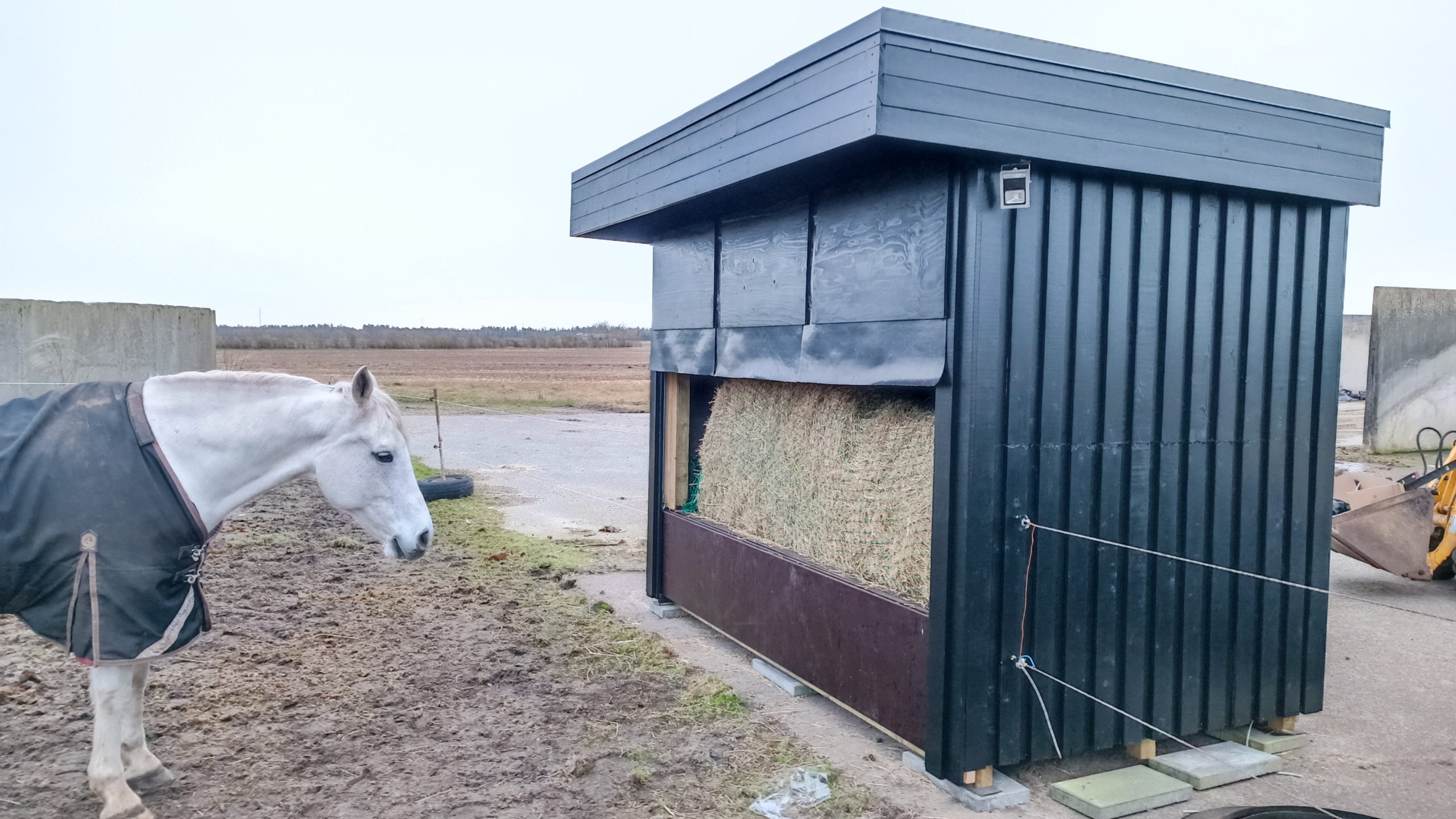 Hevosenruokinta-automaatti