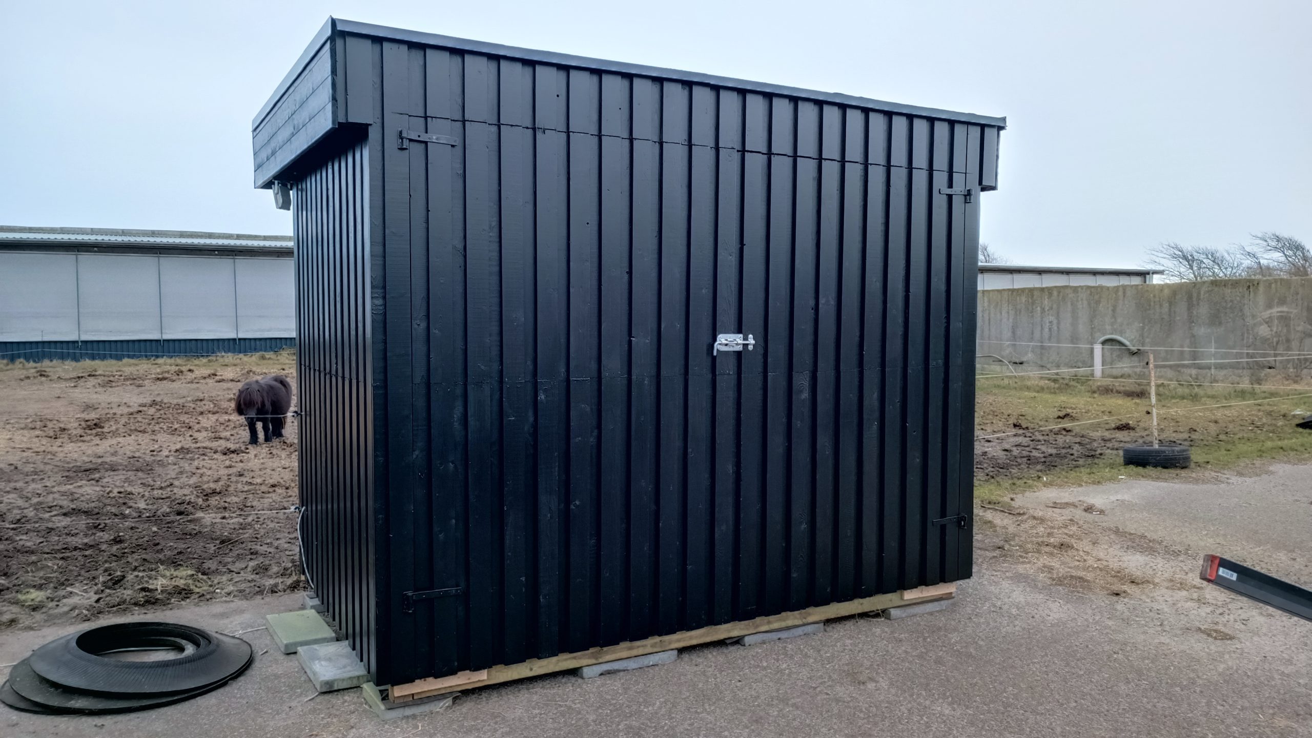 Hevosenruokinta-automaatti