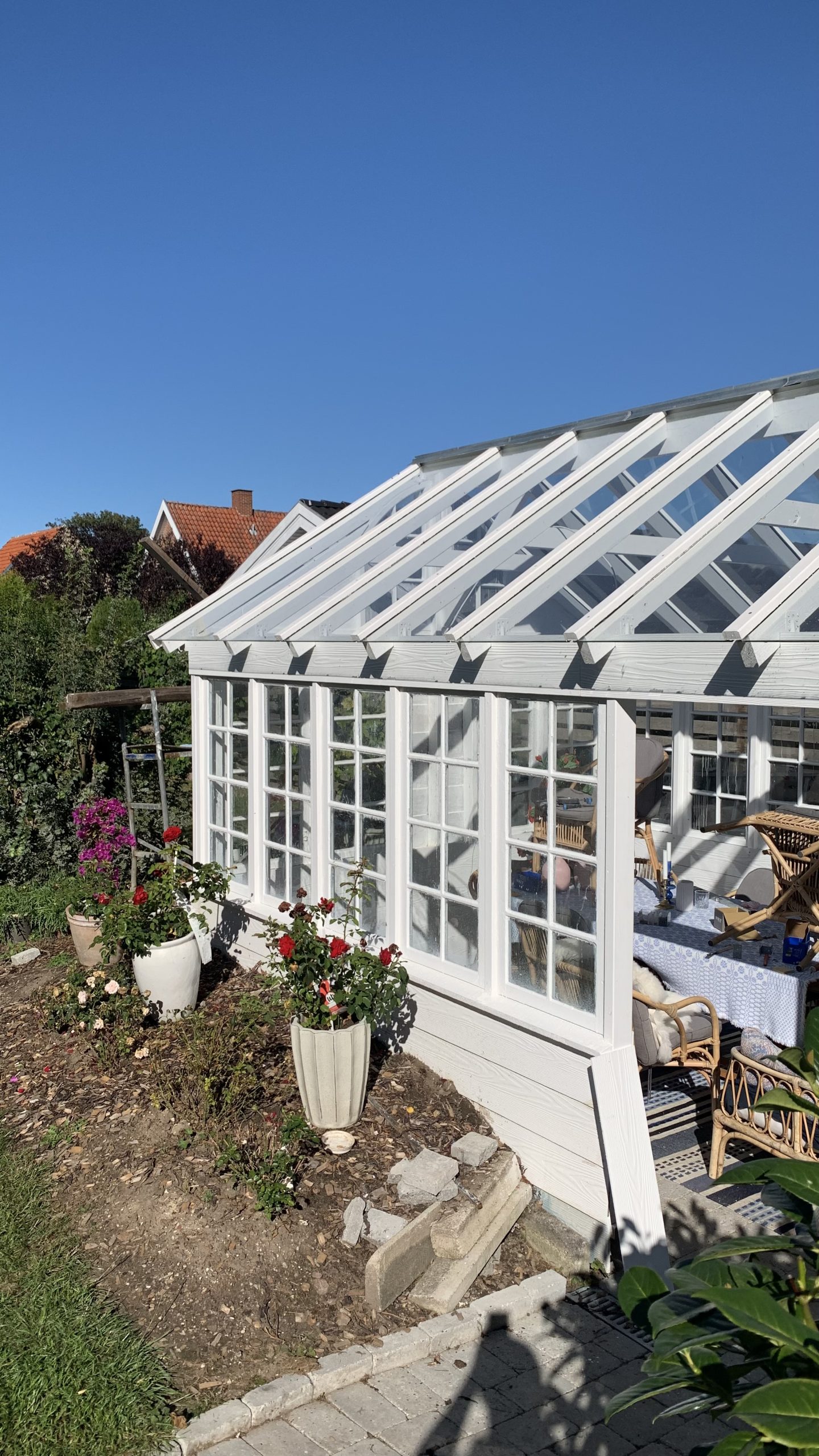 Orangeri av fönster från 1906