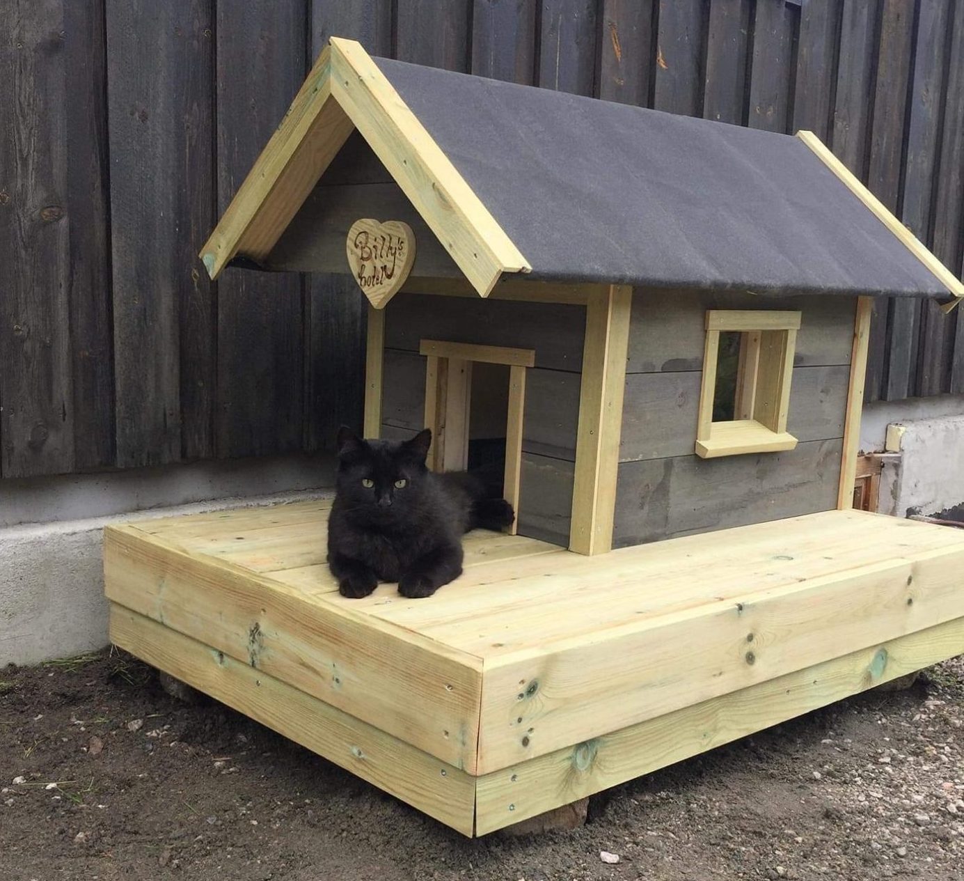 Hus til katten