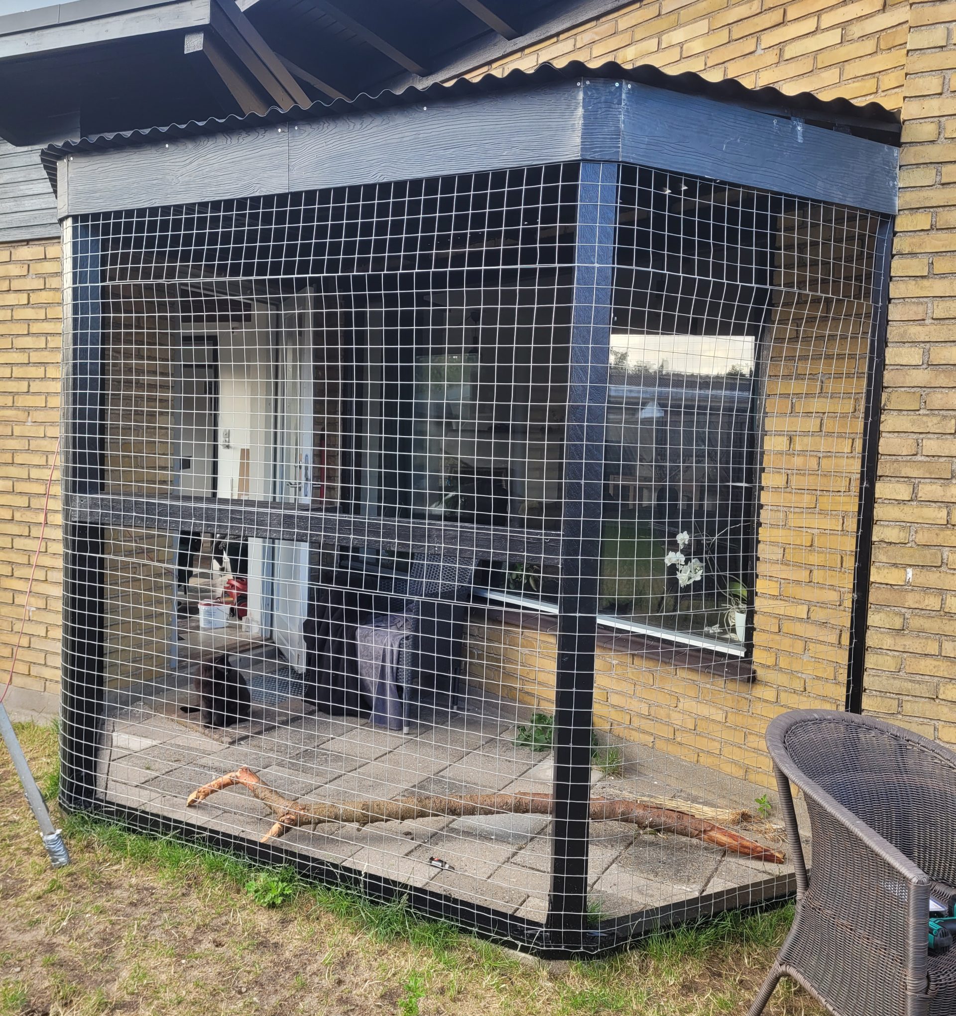 Voliere til to katte