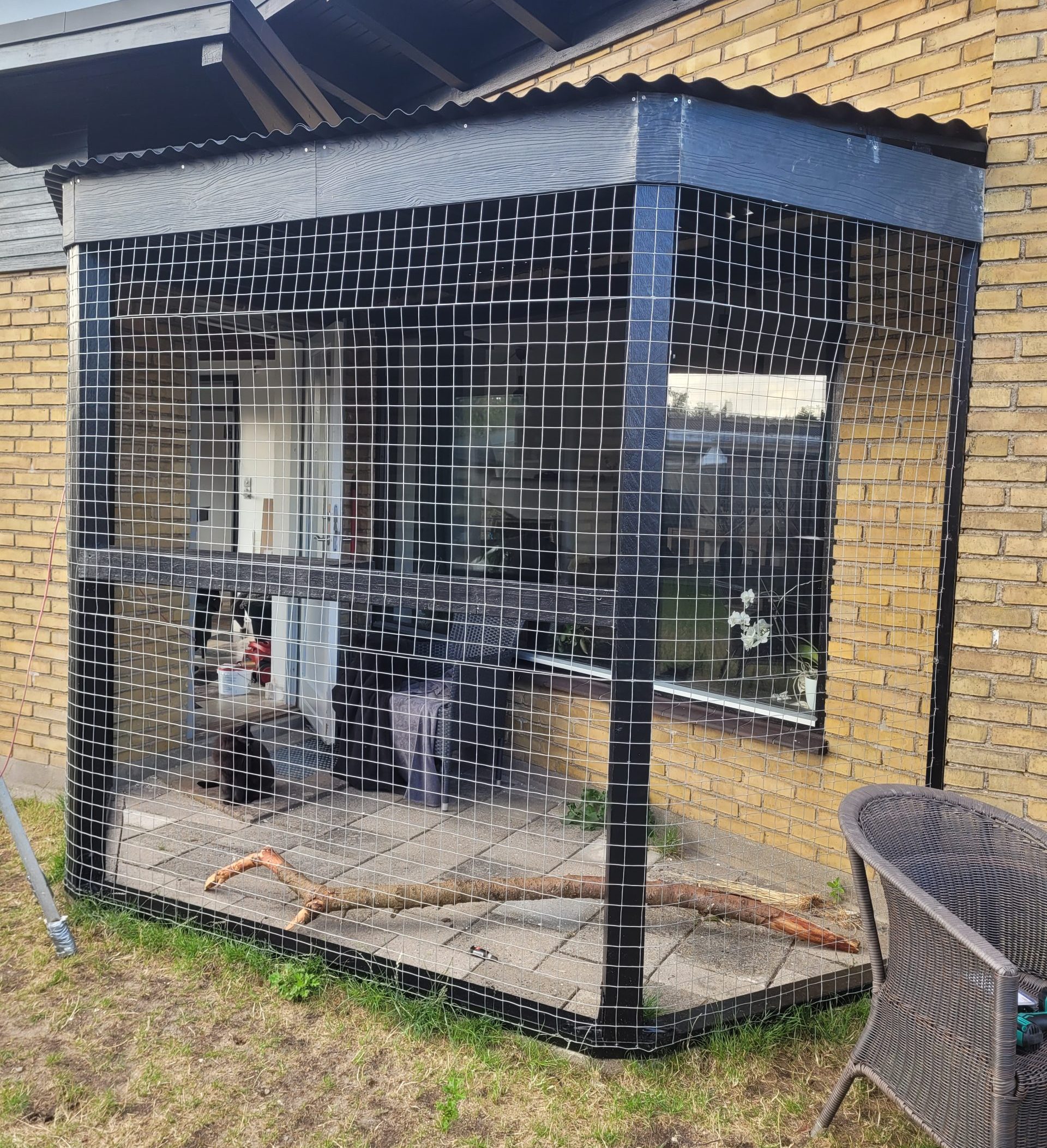 Voliere for to katter