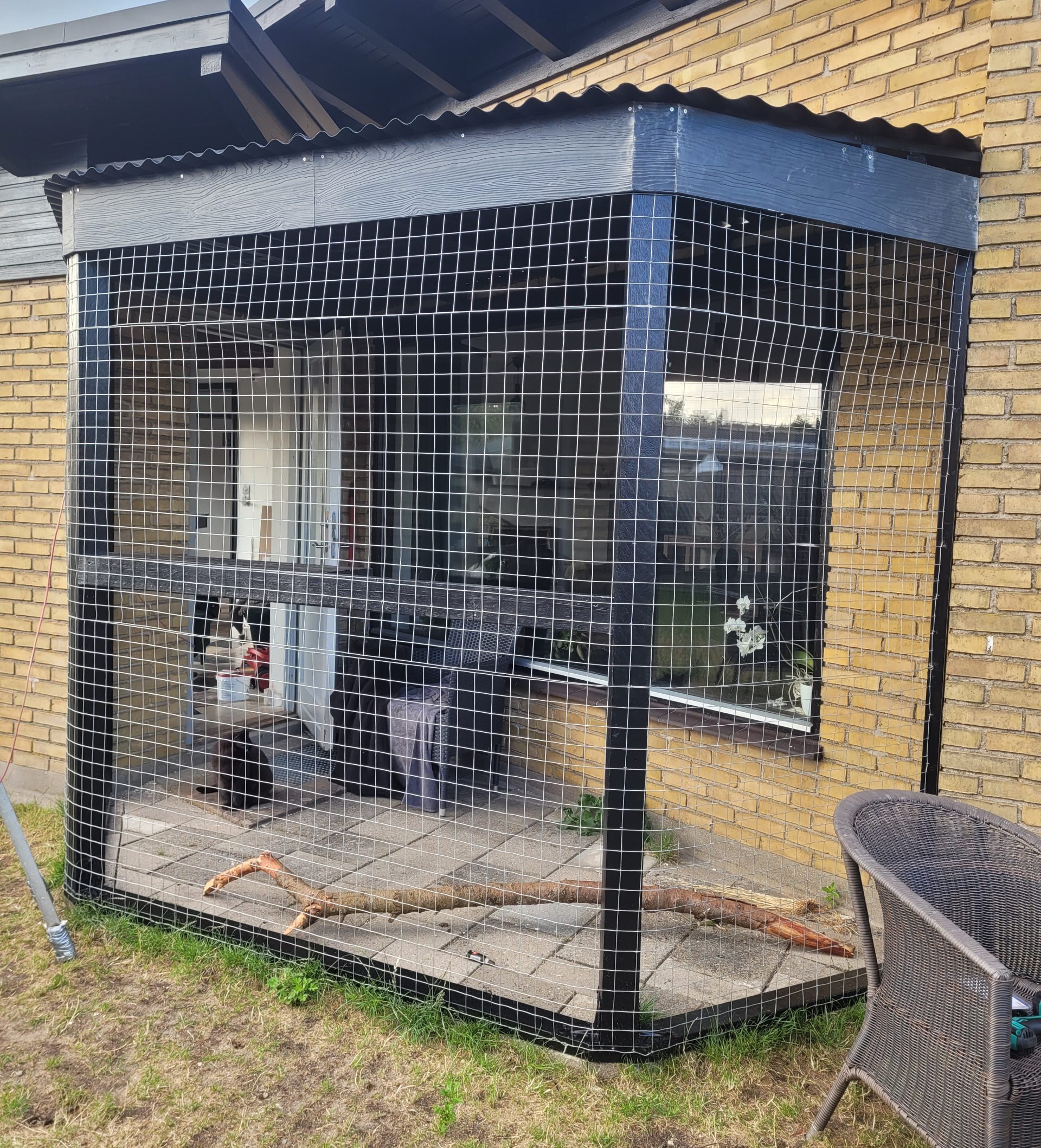 Voljär till två katter