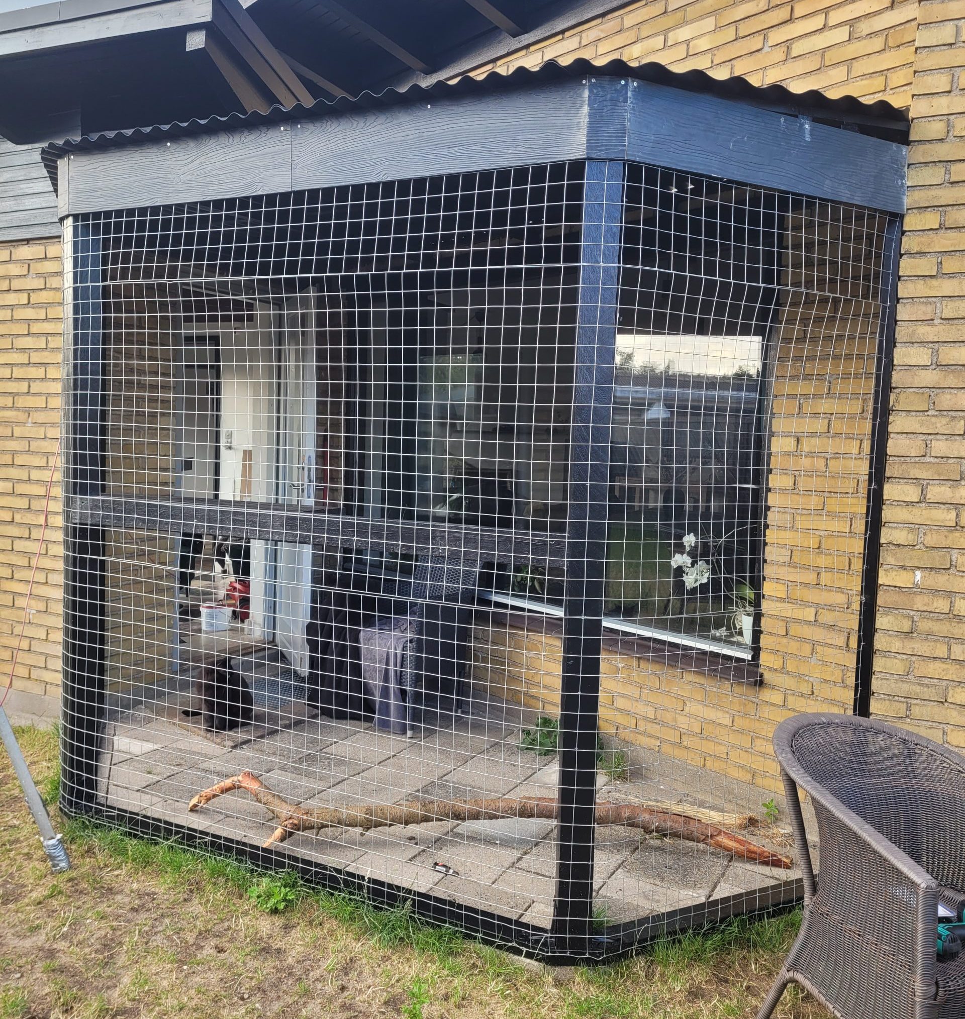 Verkkohäkki kahdelle kissalle