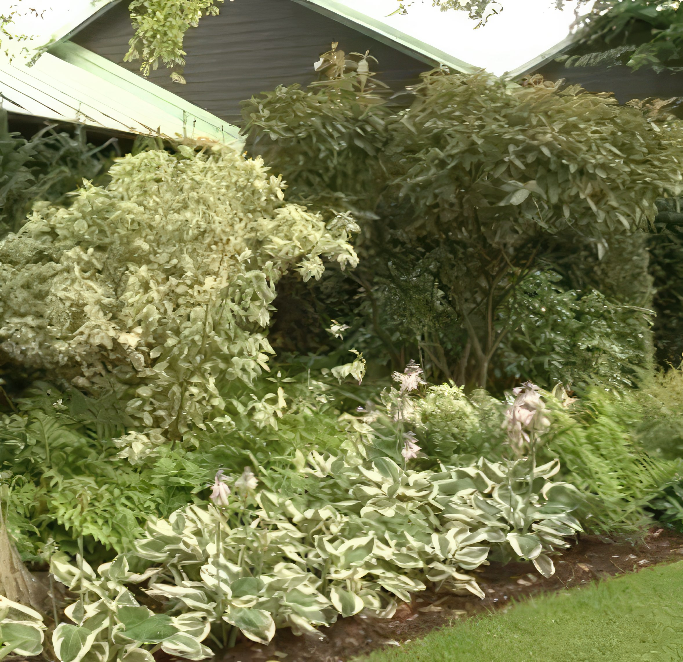 Planlegging av staudebed bestemt farge