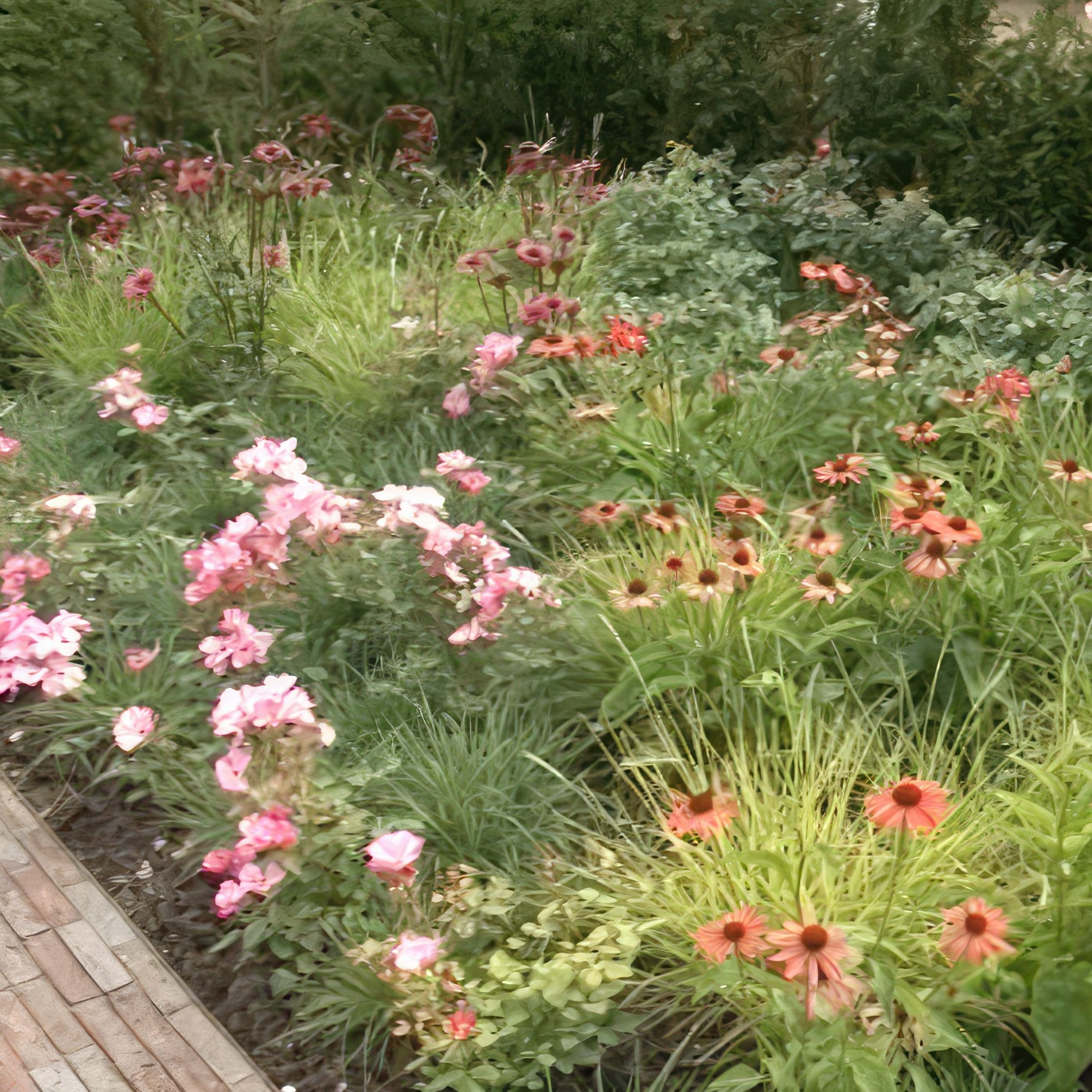 planlægning af staudebed græsser