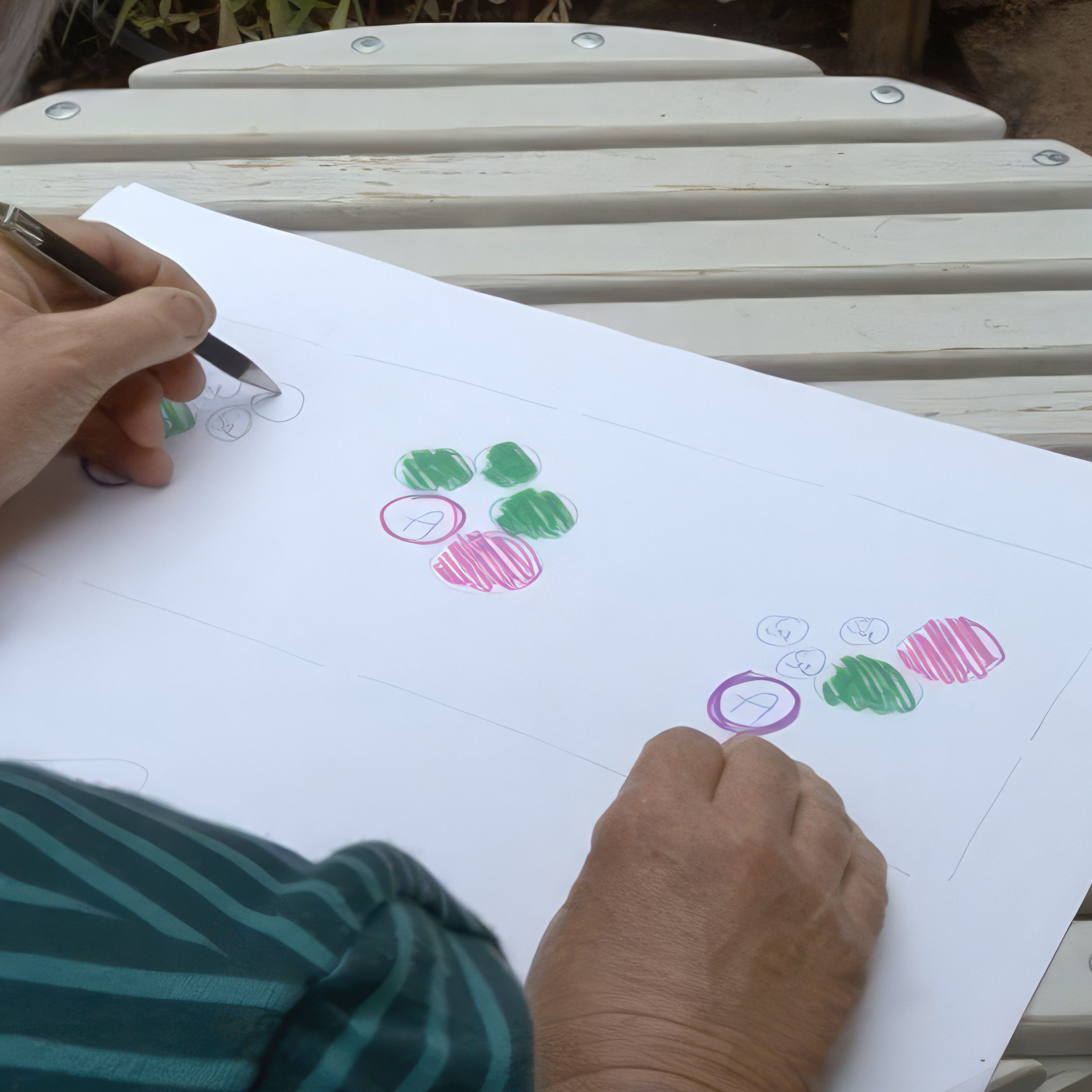 tegning af staudebed