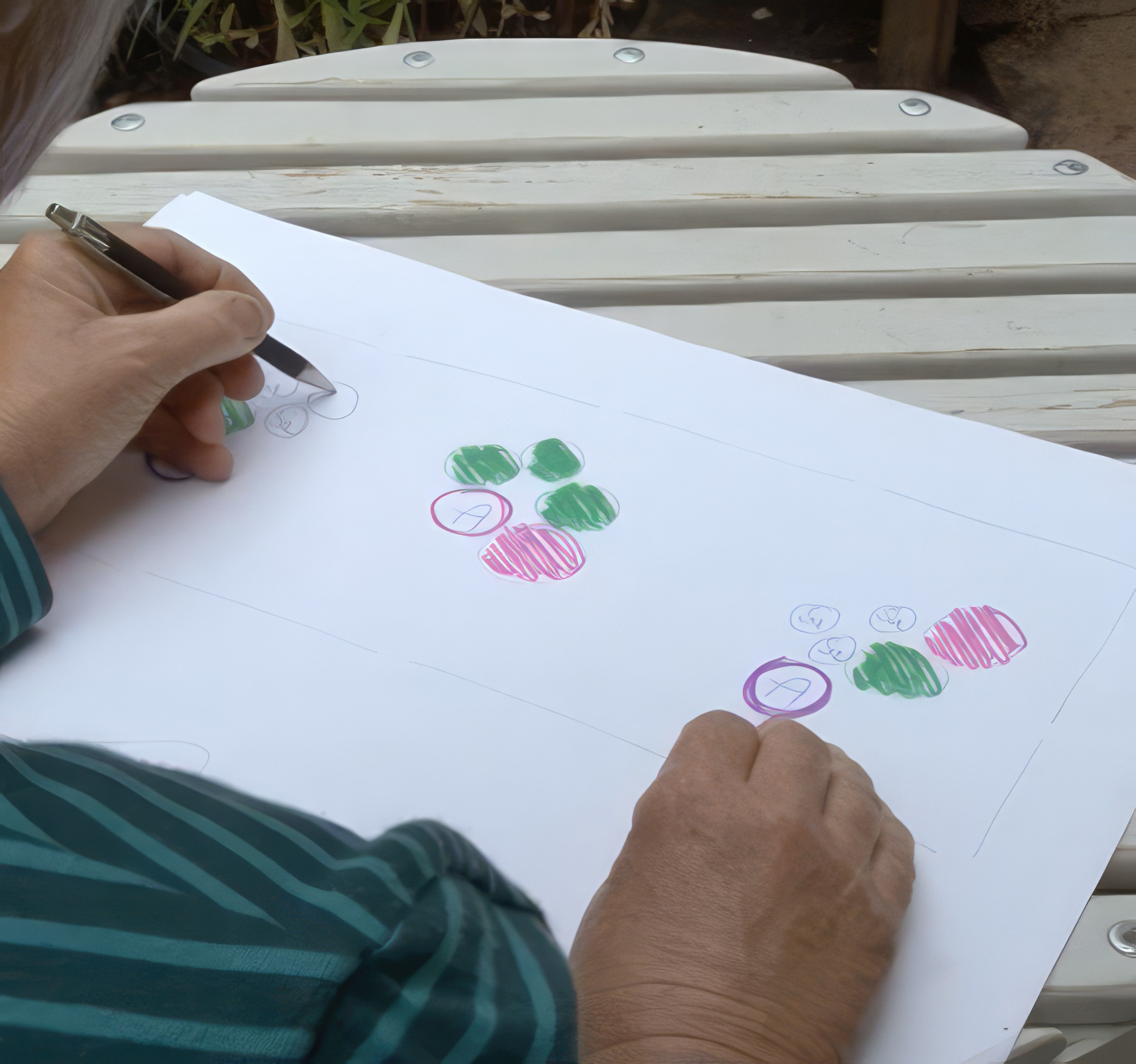 tegning av staudebed